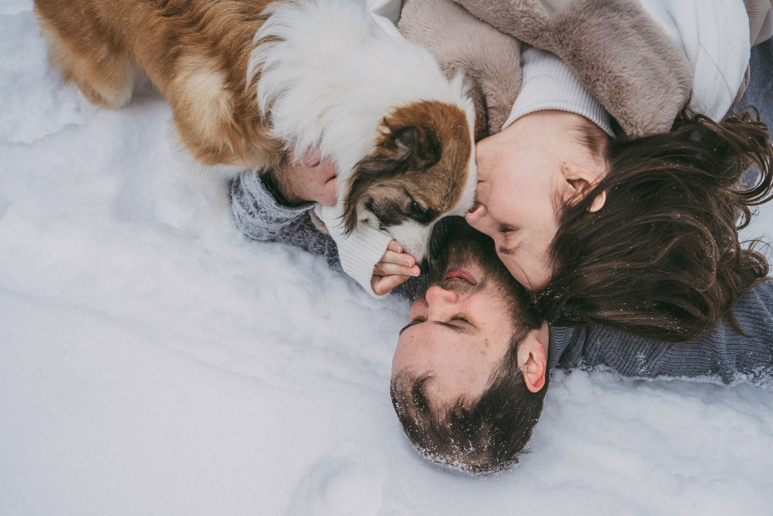 Катя, Анатолий и Елай. Фотограф анималист в Москве и Санкт-Петербурге Свиридова Анна