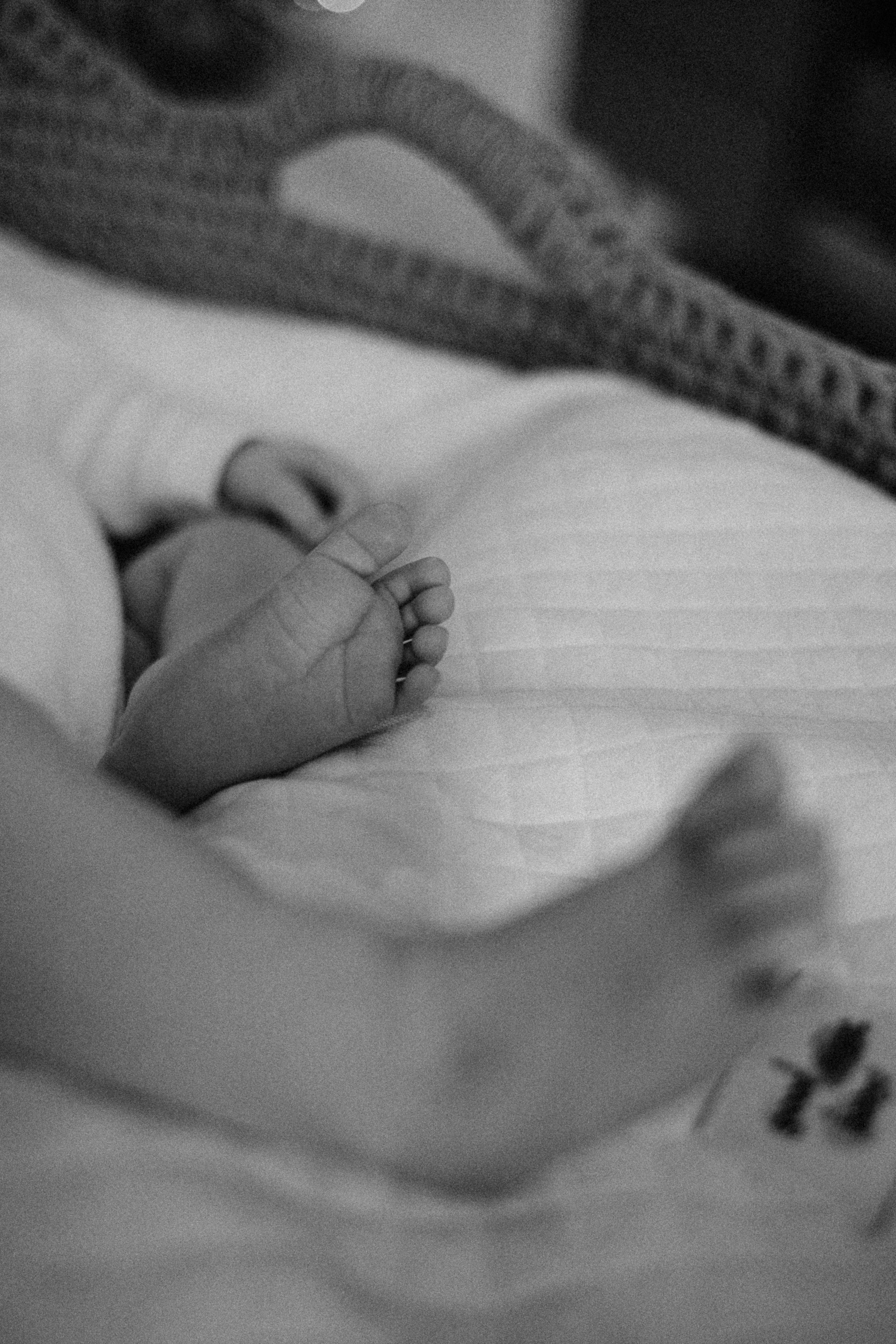 Анастасия/Андрей/Арина/2025. Свадебный и семейный фотограф в Екатеринбурге