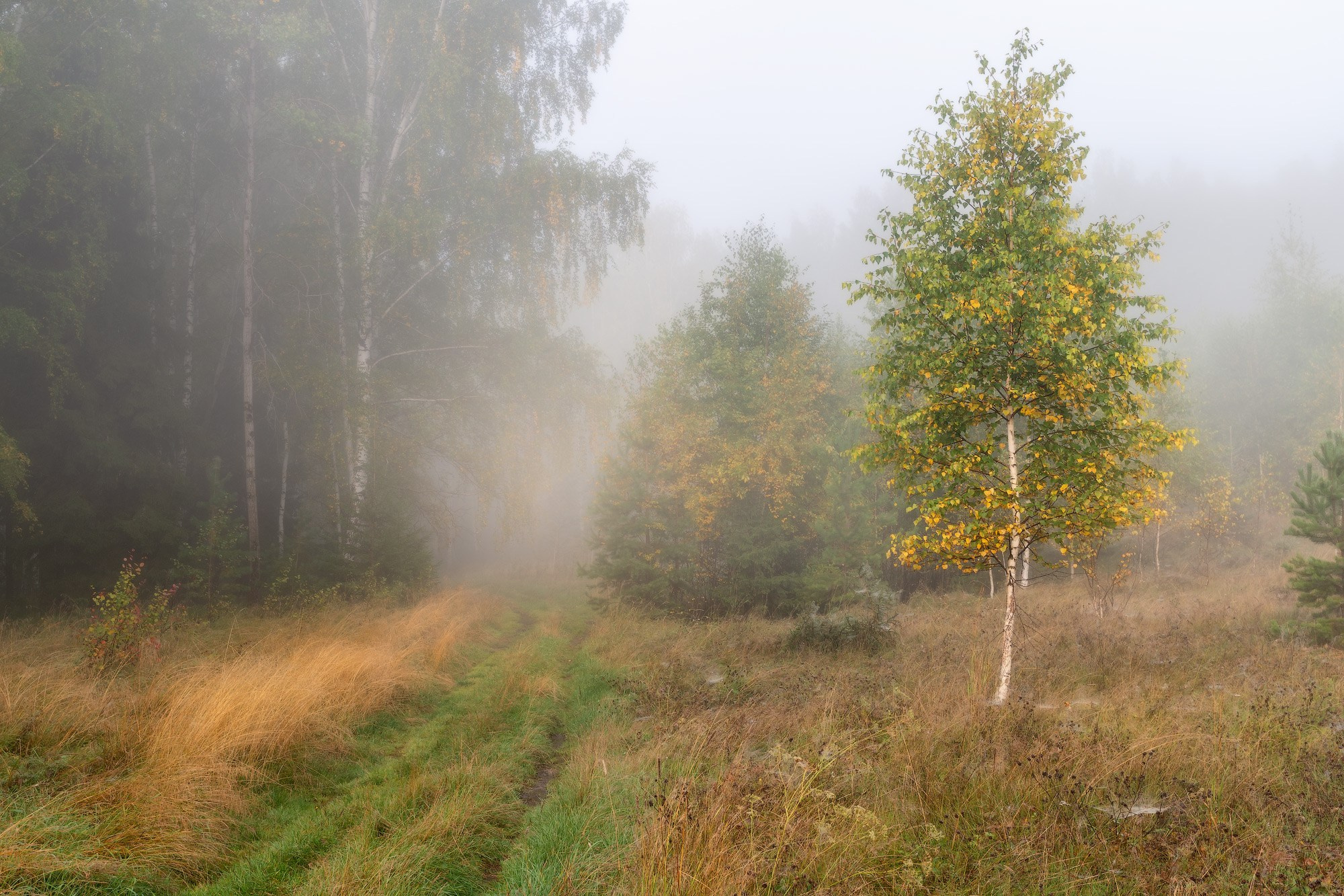 Осенние пейзажи Черноисточинска | Фотограф Николай Обухов