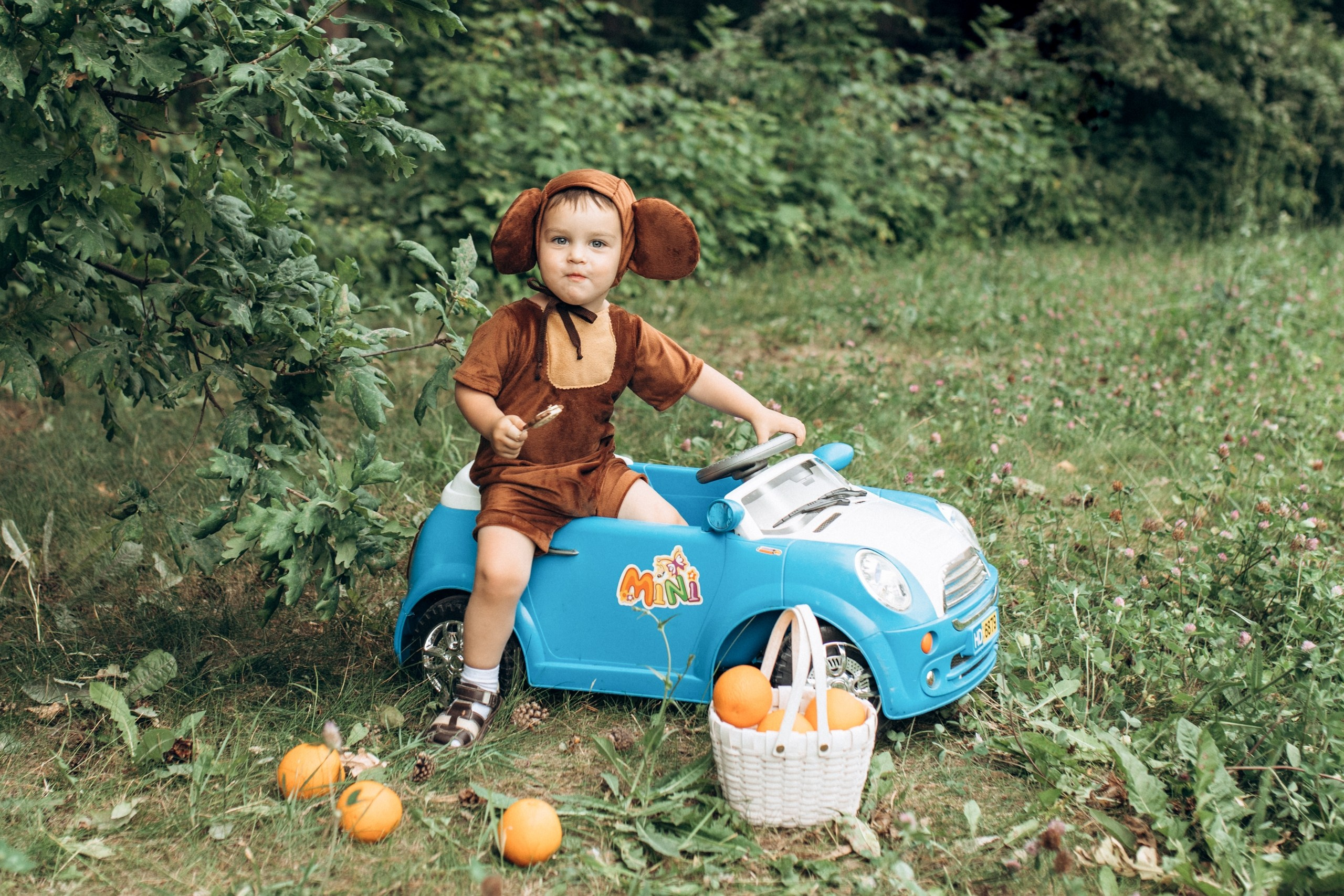 Чебурашка. Семейный и детский фотограф в Ульяновске — Лилия Павленкова