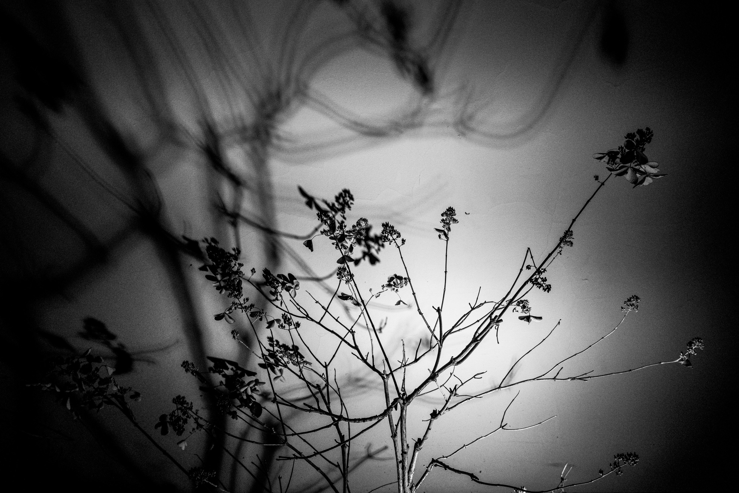 Тени города. Портретный и архитектурный фотограф в Москве и Санкт-Петербурге