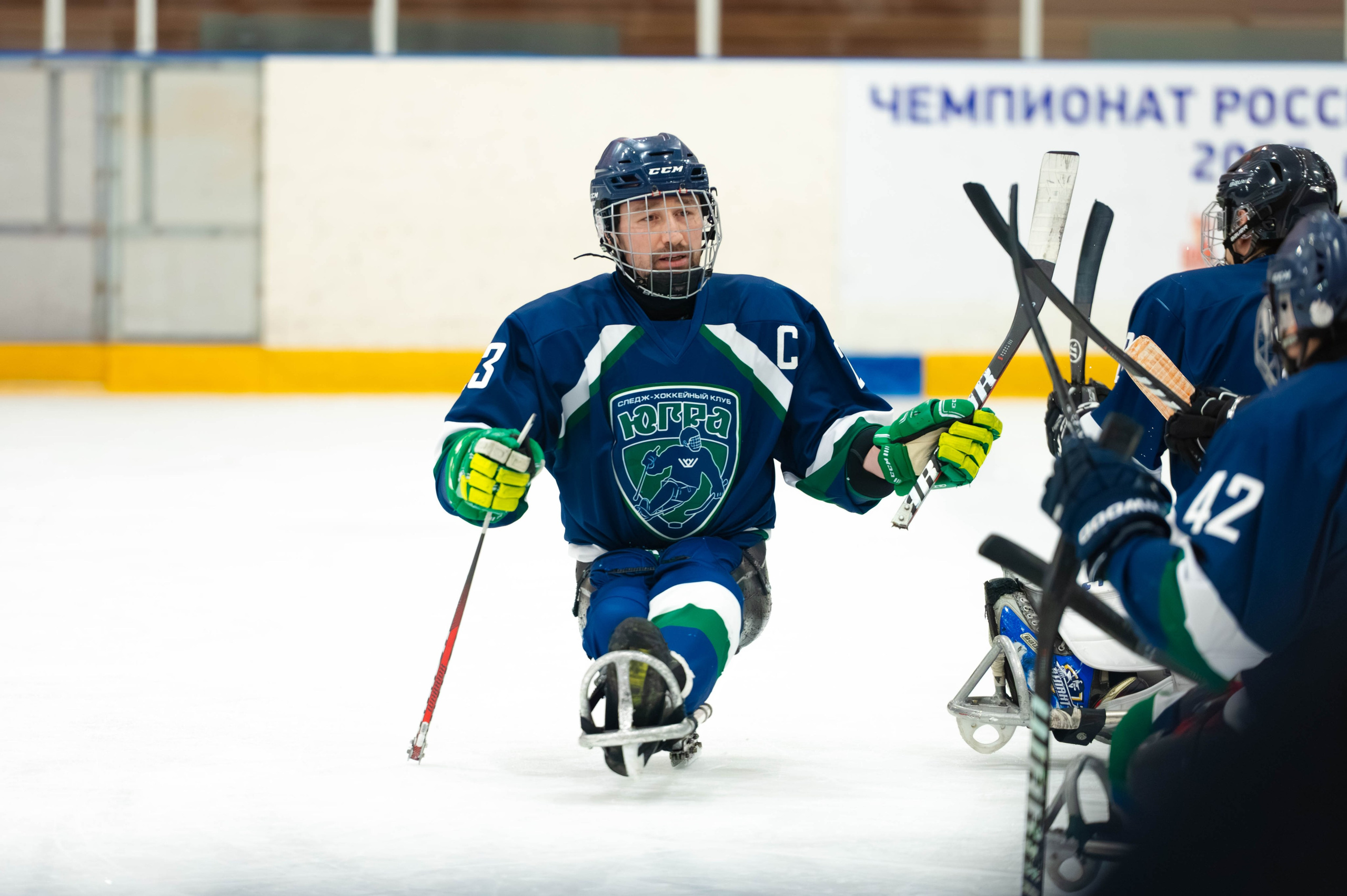 ЧР по хоккею следж. Алексин, 2025. Спортивный фотограф в Туле и Тульской области. Файсханова Фото Спорт
