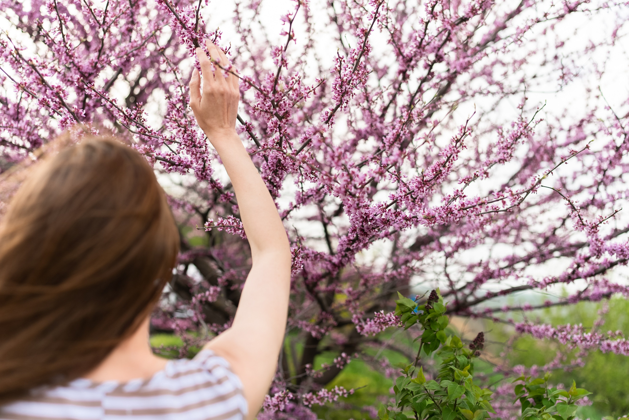 Прогулочная фотосессия. Семейный фотограф и видеограф Алёна Ким