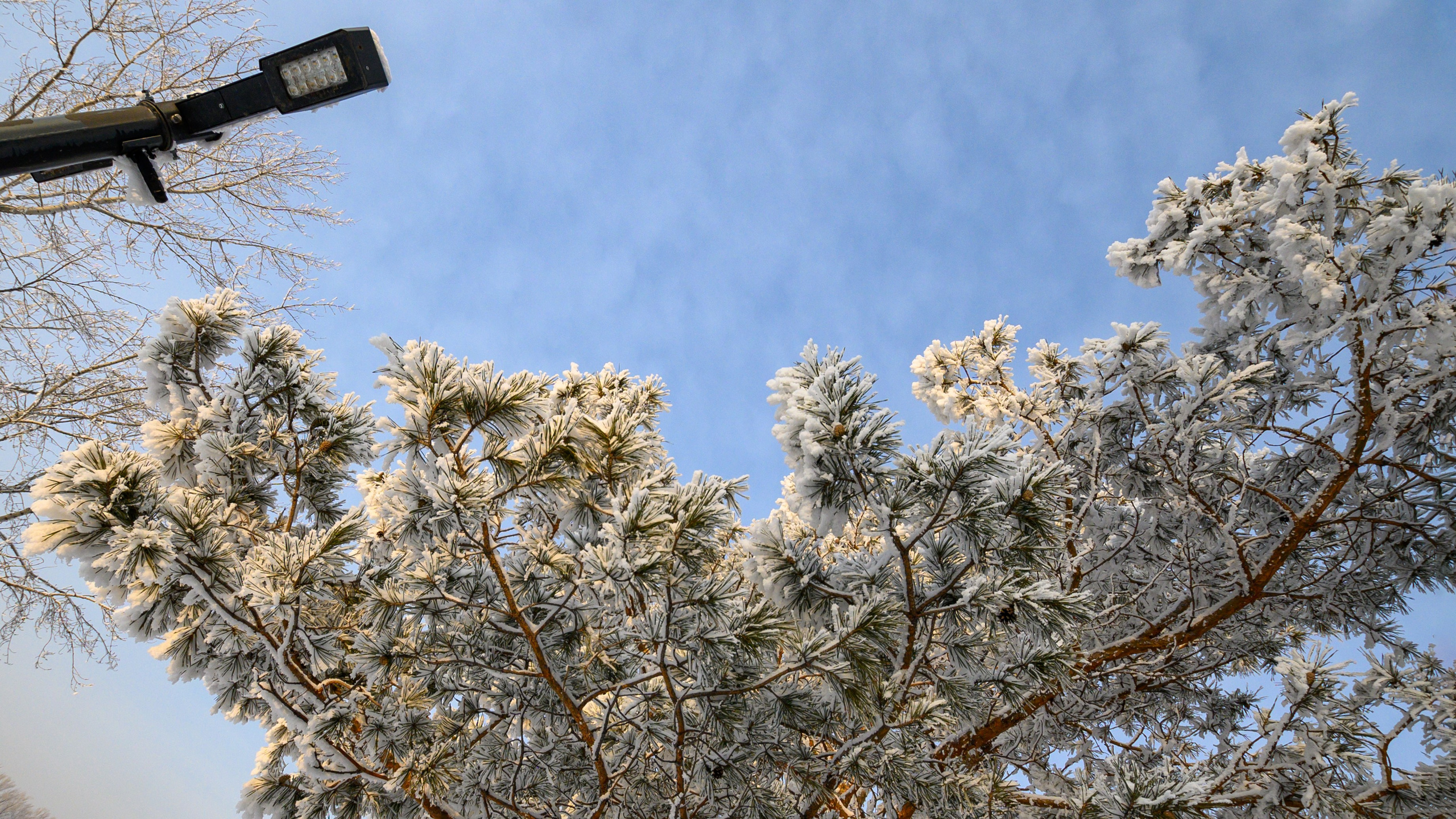 Сибирская зима прекрасна!. FotoGraf