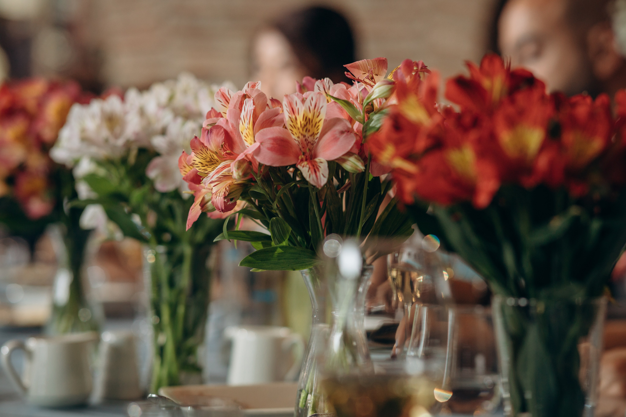 Alexi & Jolly. Фотограф в Тбилиси Наталья Фомина