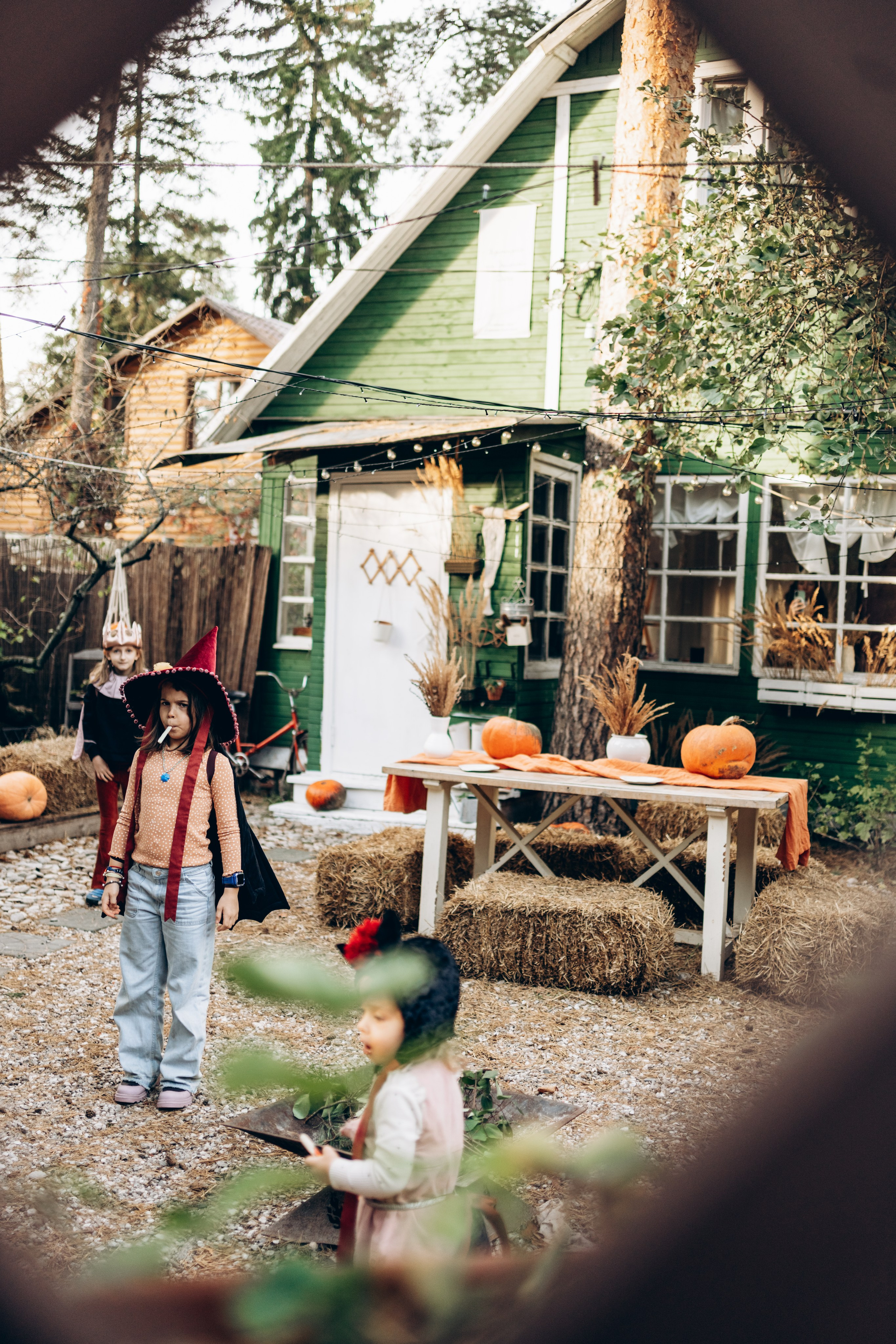 Маскарад на Зеленой даче. Семейный и детский фотограф и видеограф в Москве, Серпухове и Тарусе Валерия Сорокина