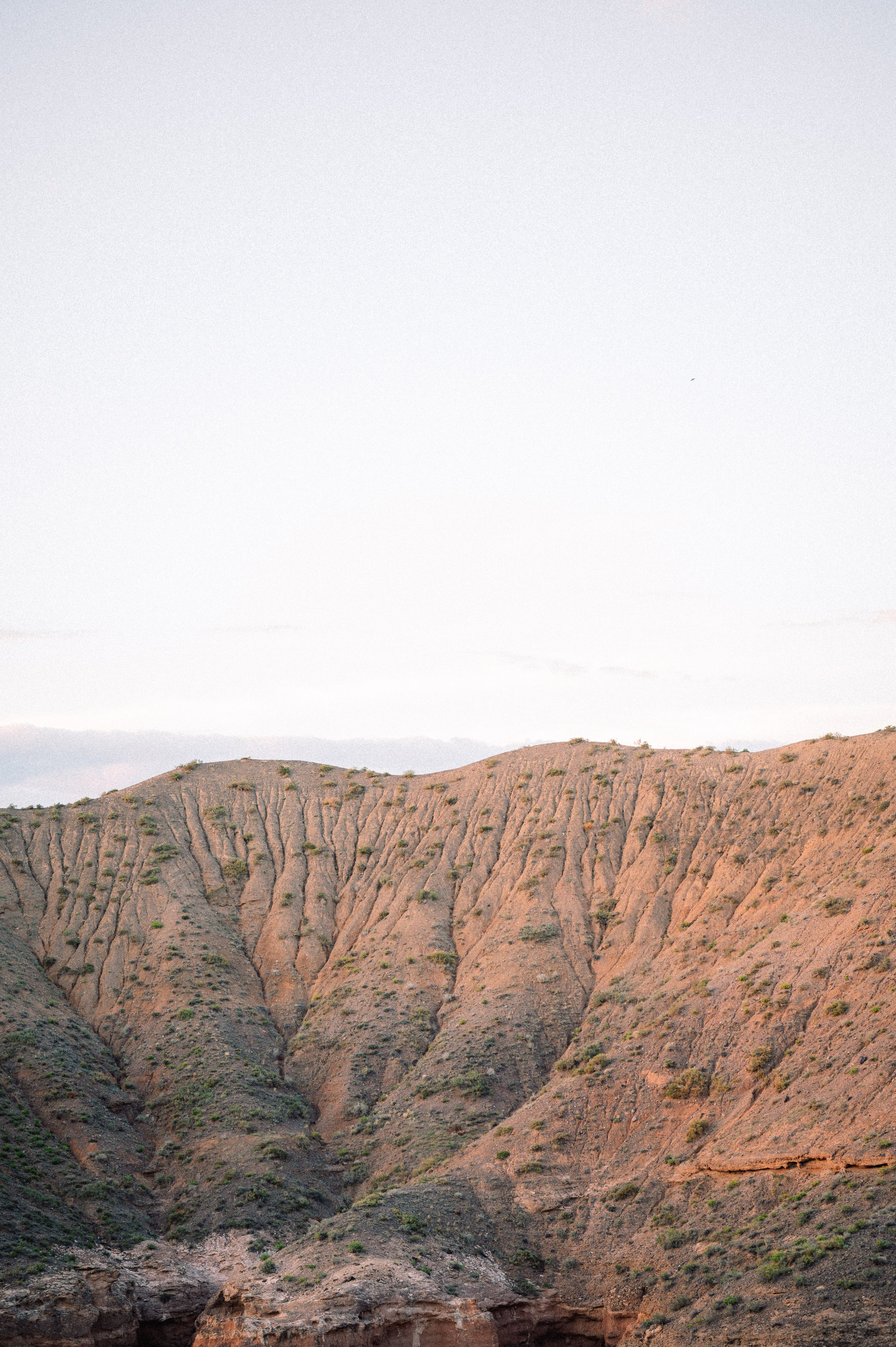 Чарын-Кольсай: лето 2024. Фотограф в Алматы — Дарья Фёдорова