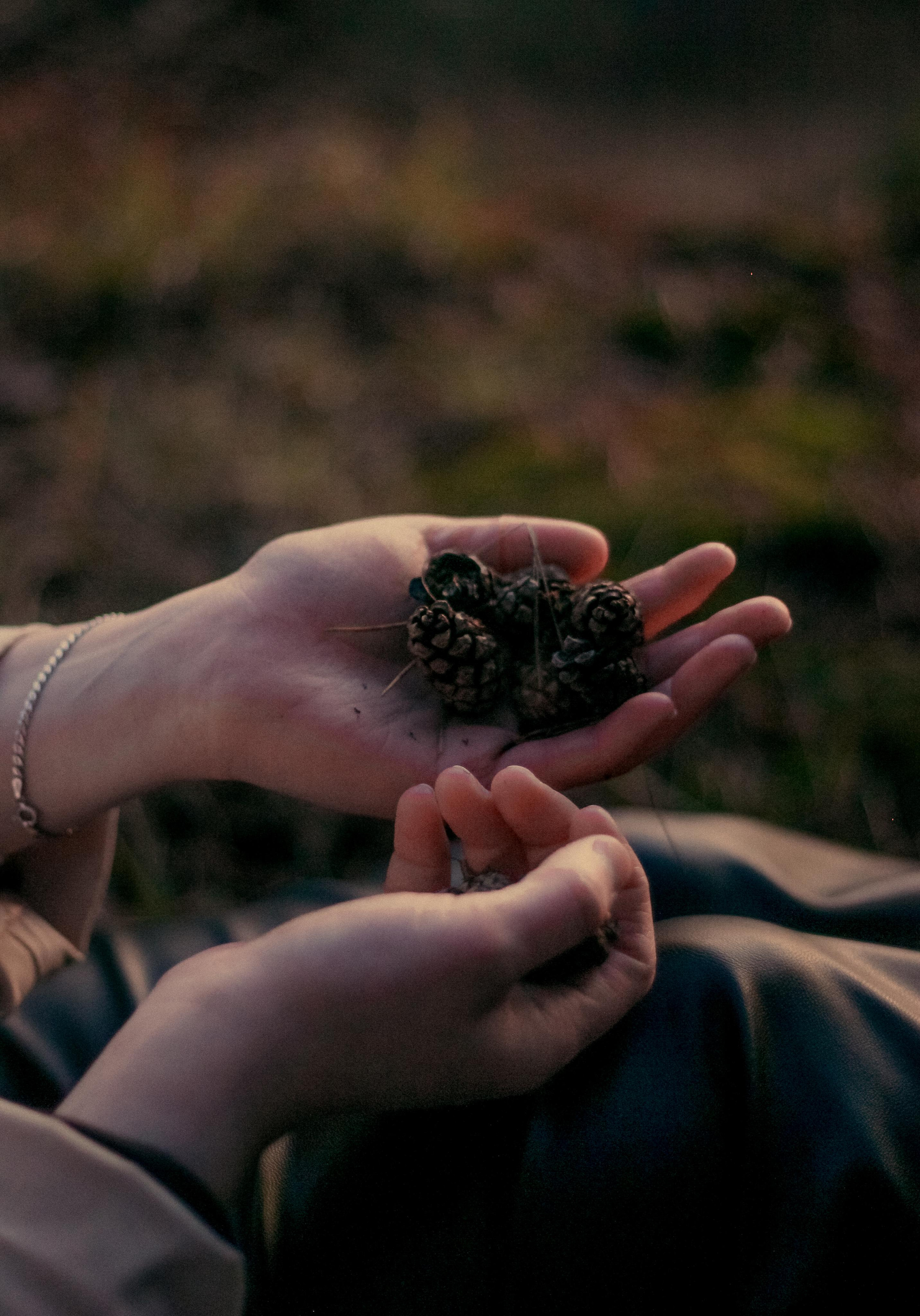 Закат на реке Чепце. Фотограф Киров — Глазов Арина Авакумова