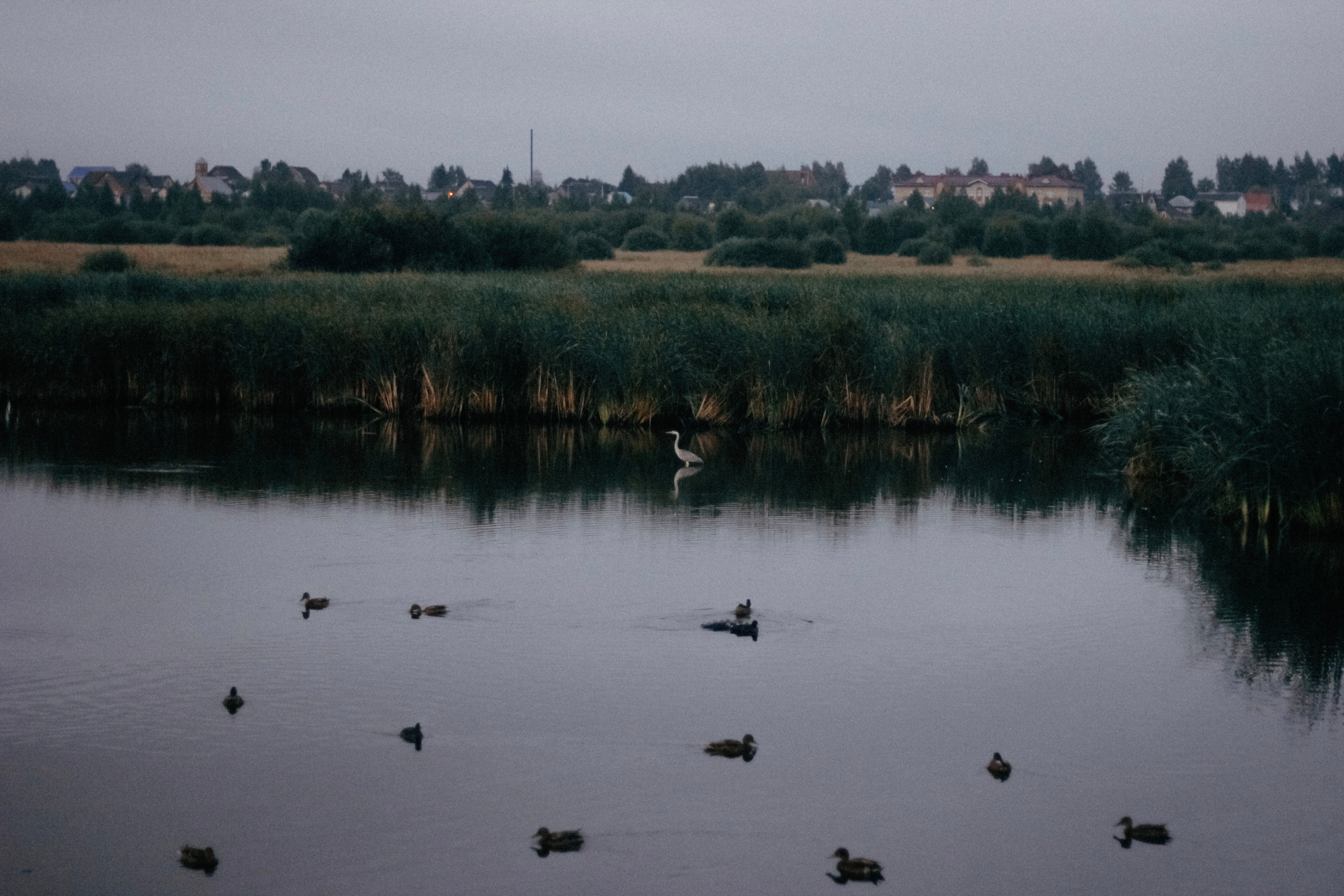 Утренняя тишина. Фотограф Киров — Глазов Арина Авакумова