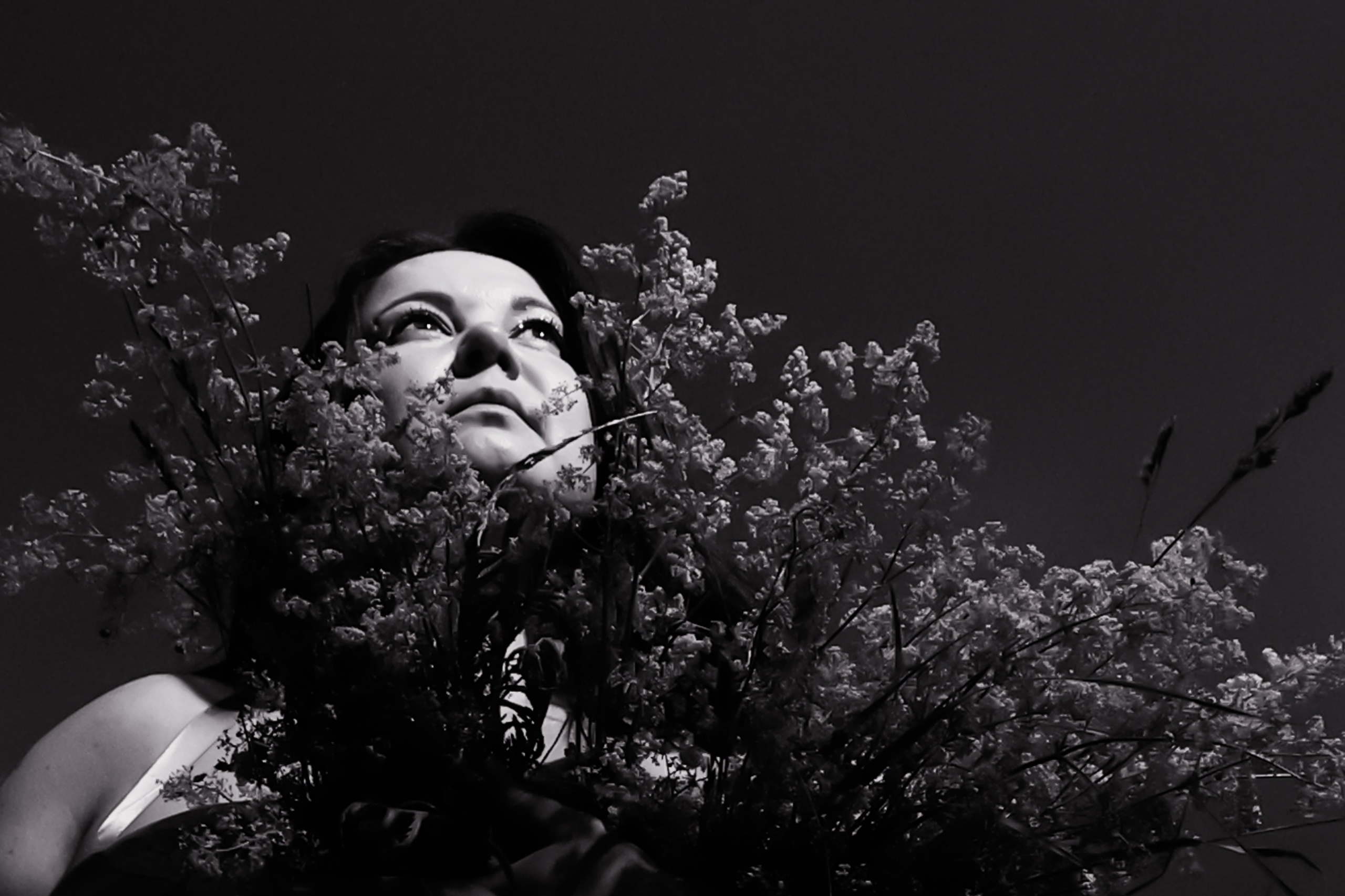 Фотографии в низком ключе