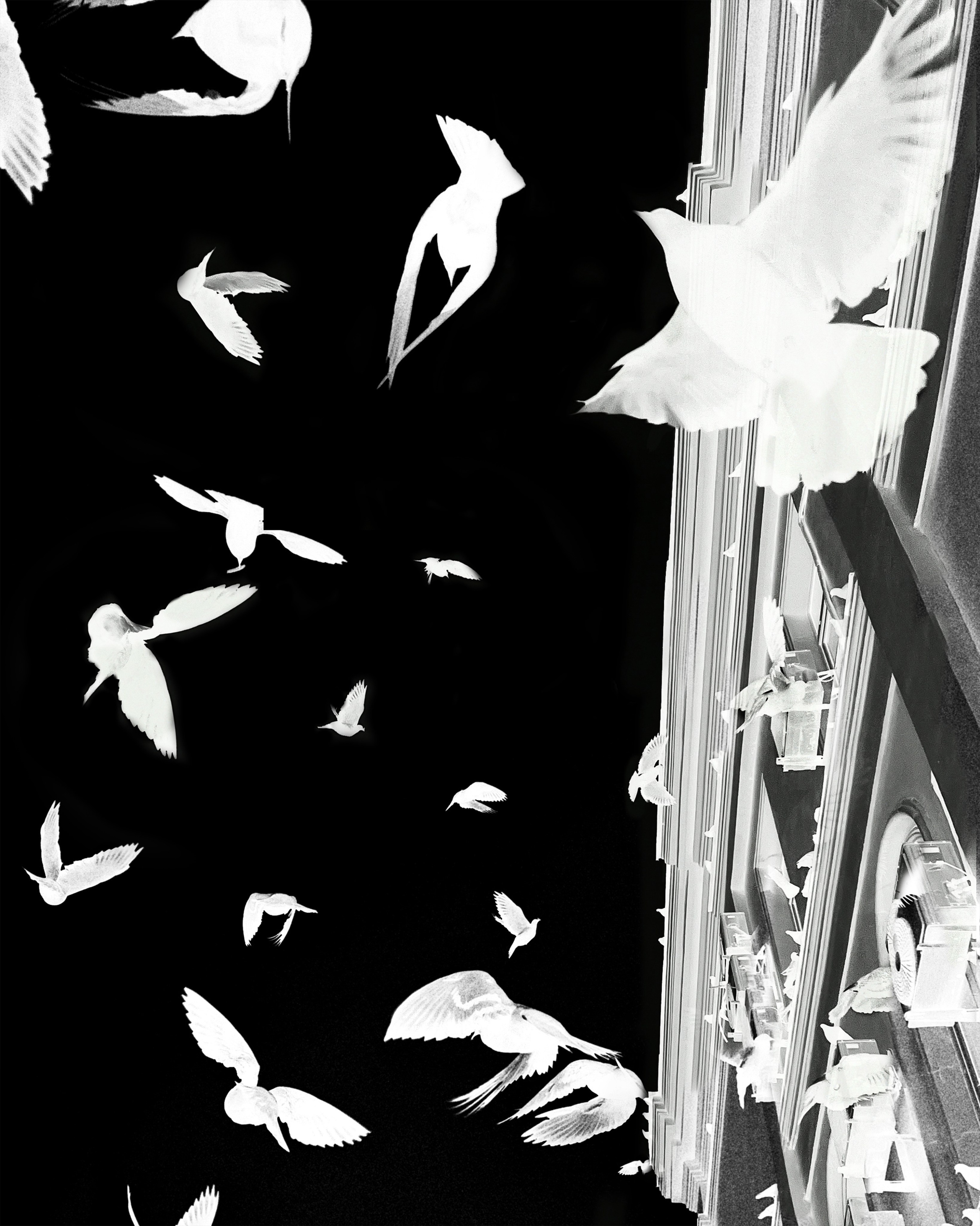 Будь свободен, как птица. Ищи свой воздух, свое небо!