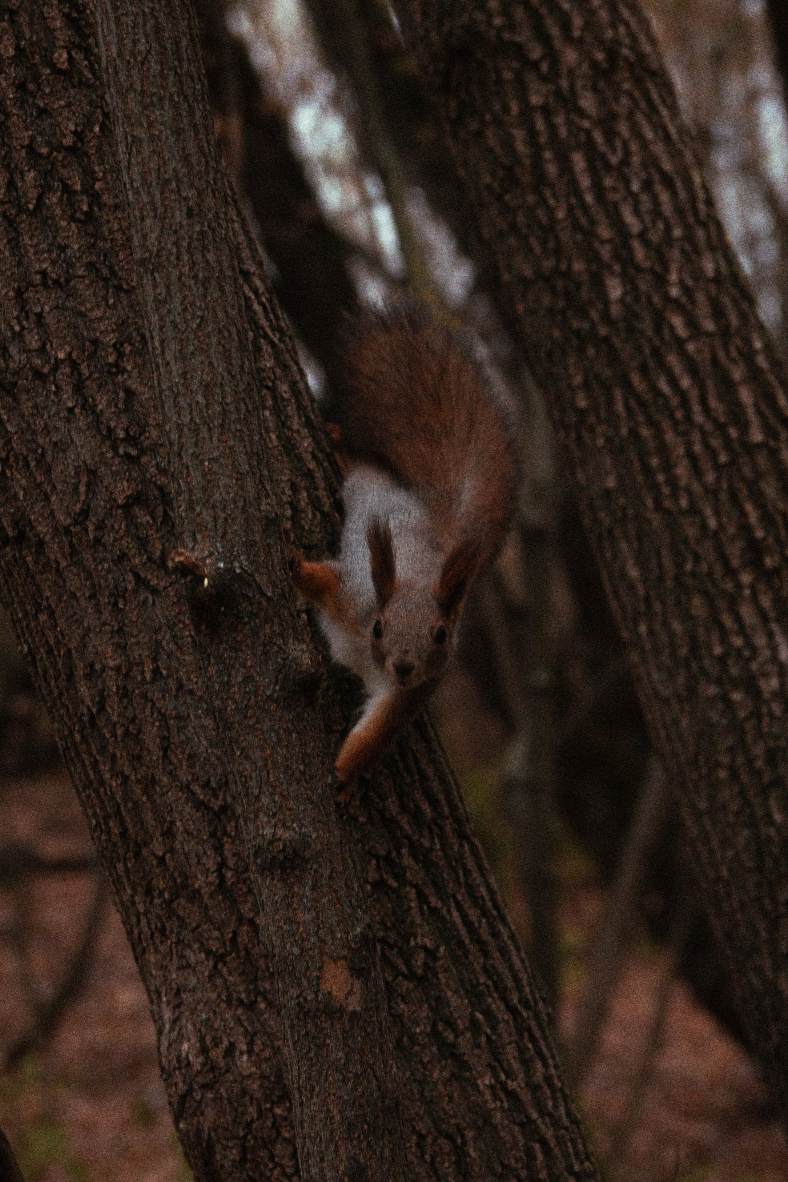 Русско-Немецкая Швейцария. Арсений Марасинский — фотограф в Казани