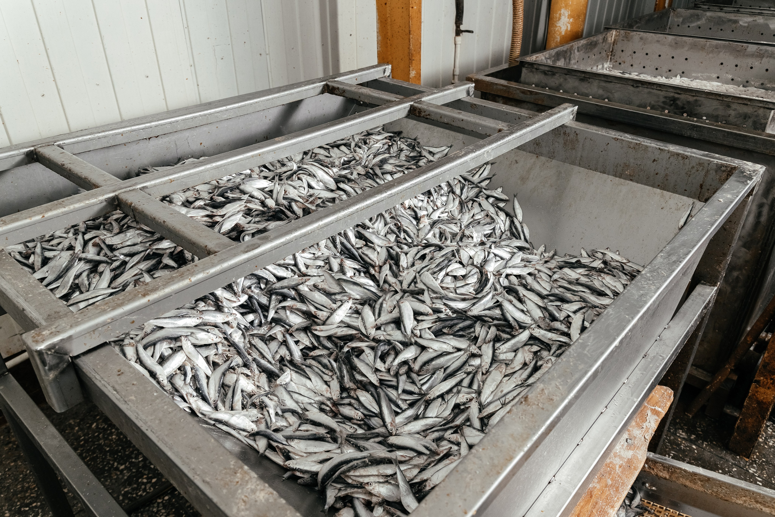 Консервный Завод. Фотограф Ставрополь Петр Голубенко