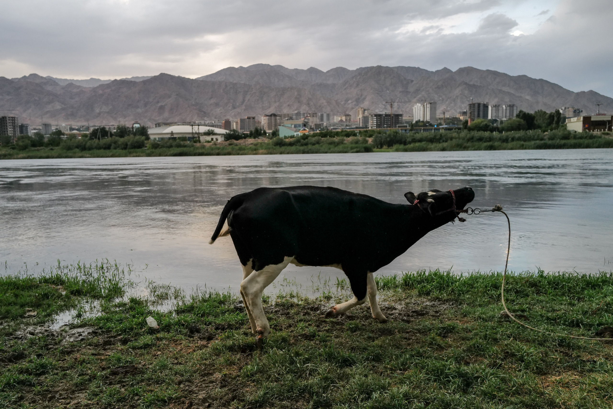 Вид на реку Сырдарья. Худжанд, Таджикистан. Июнь 2024 года