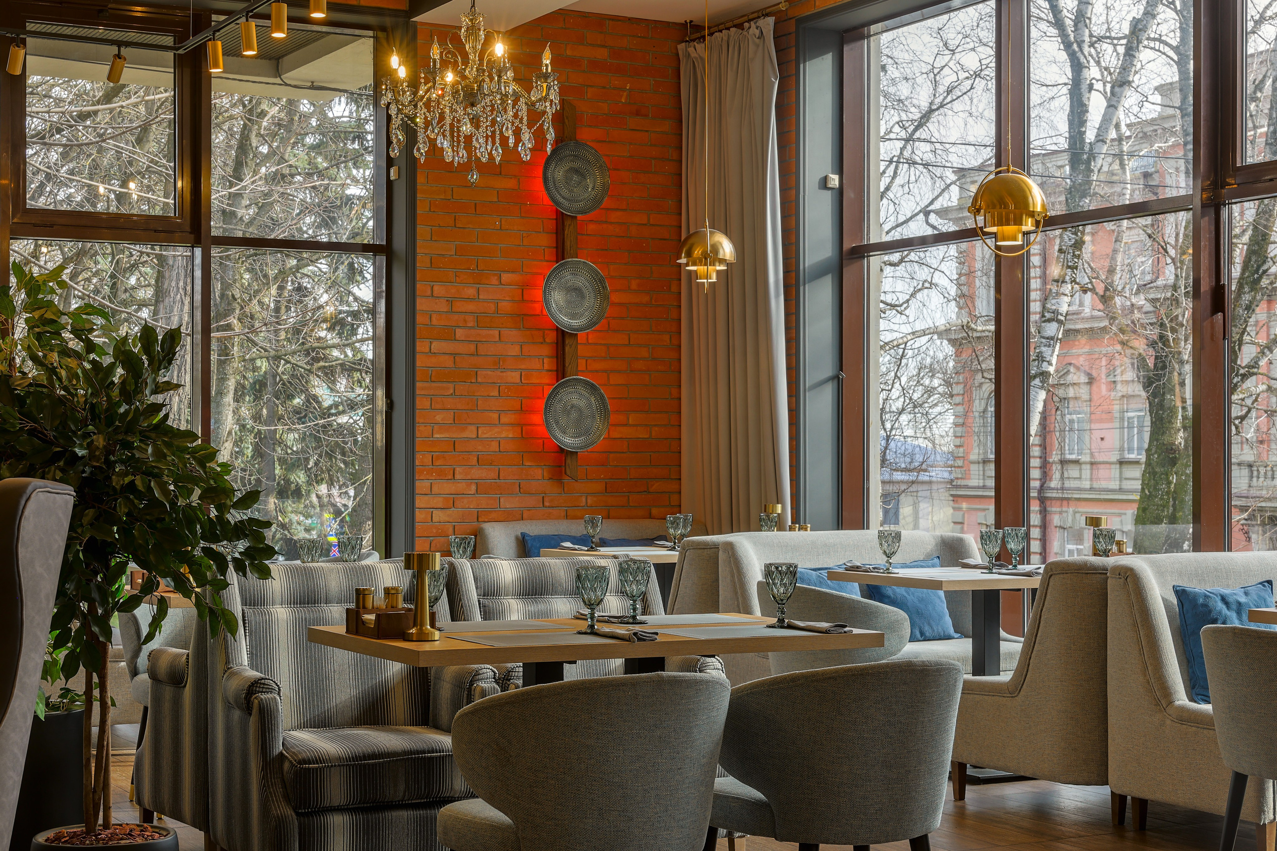 Каштан. Фотограф Ставрополь Петр Голубенко