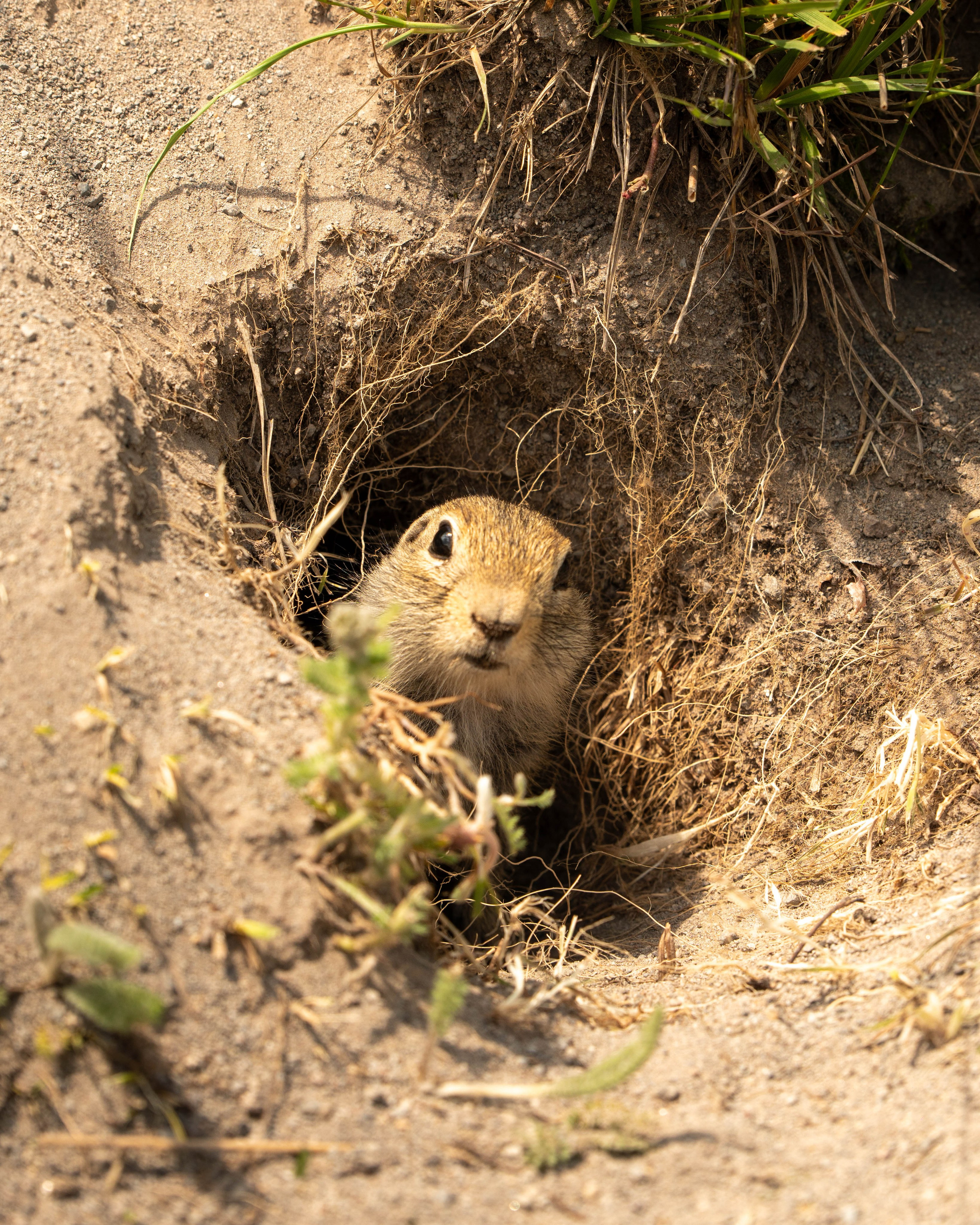 Кавказ. Daria wanderer photography