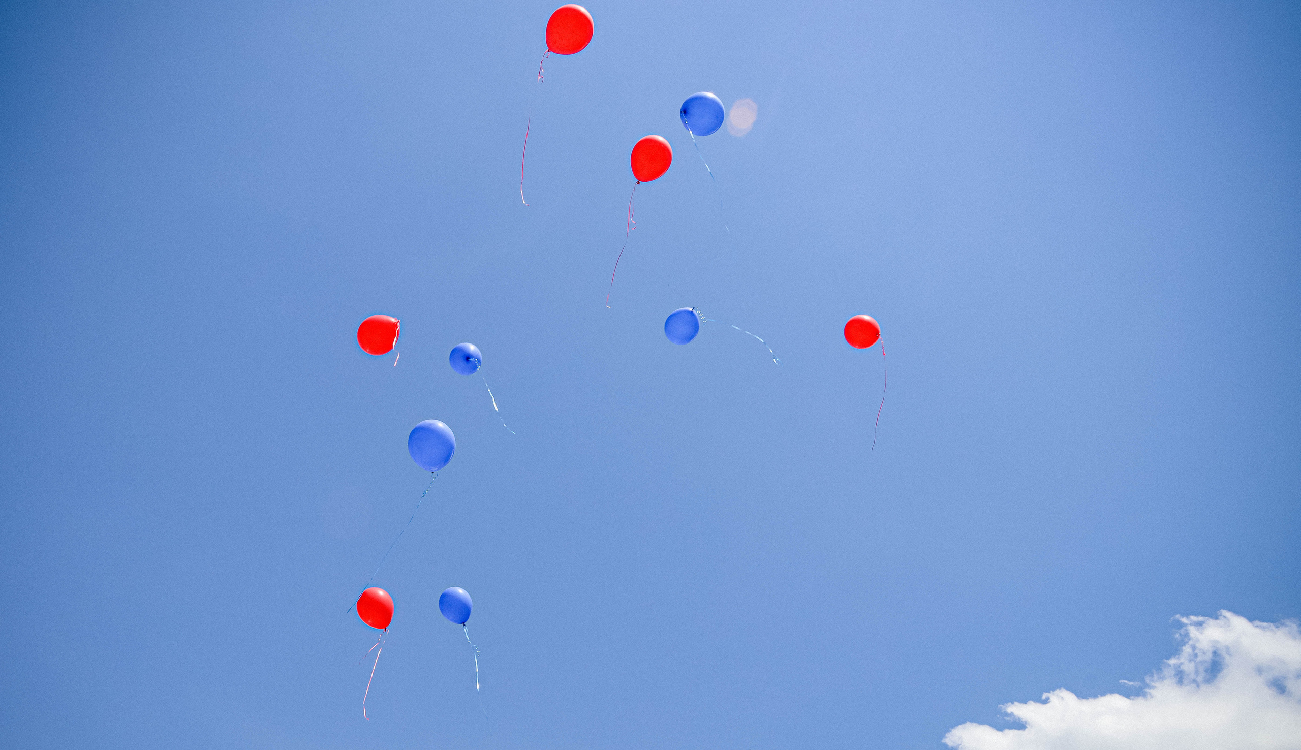 Садики. Alexsaphoto.ru