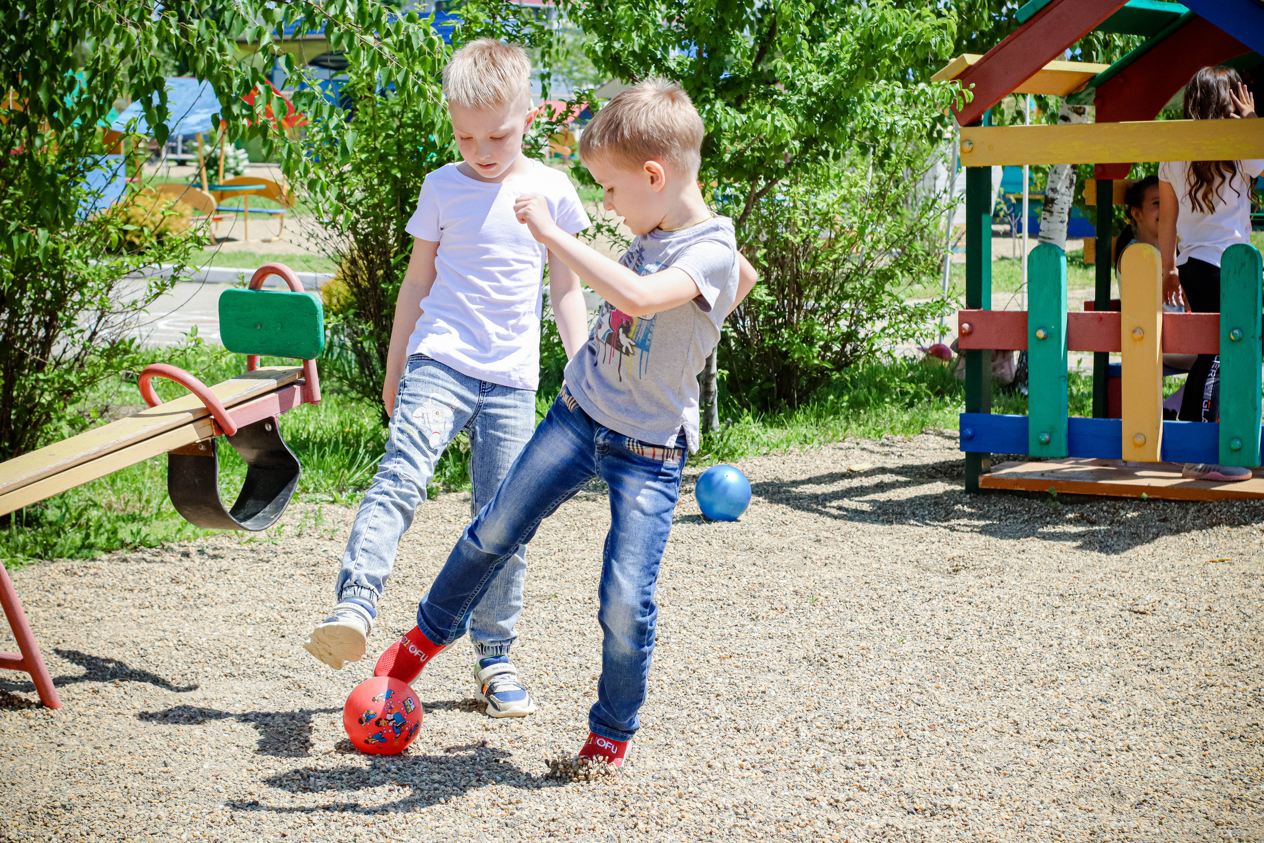 Садики. Alexsaphoto.ru