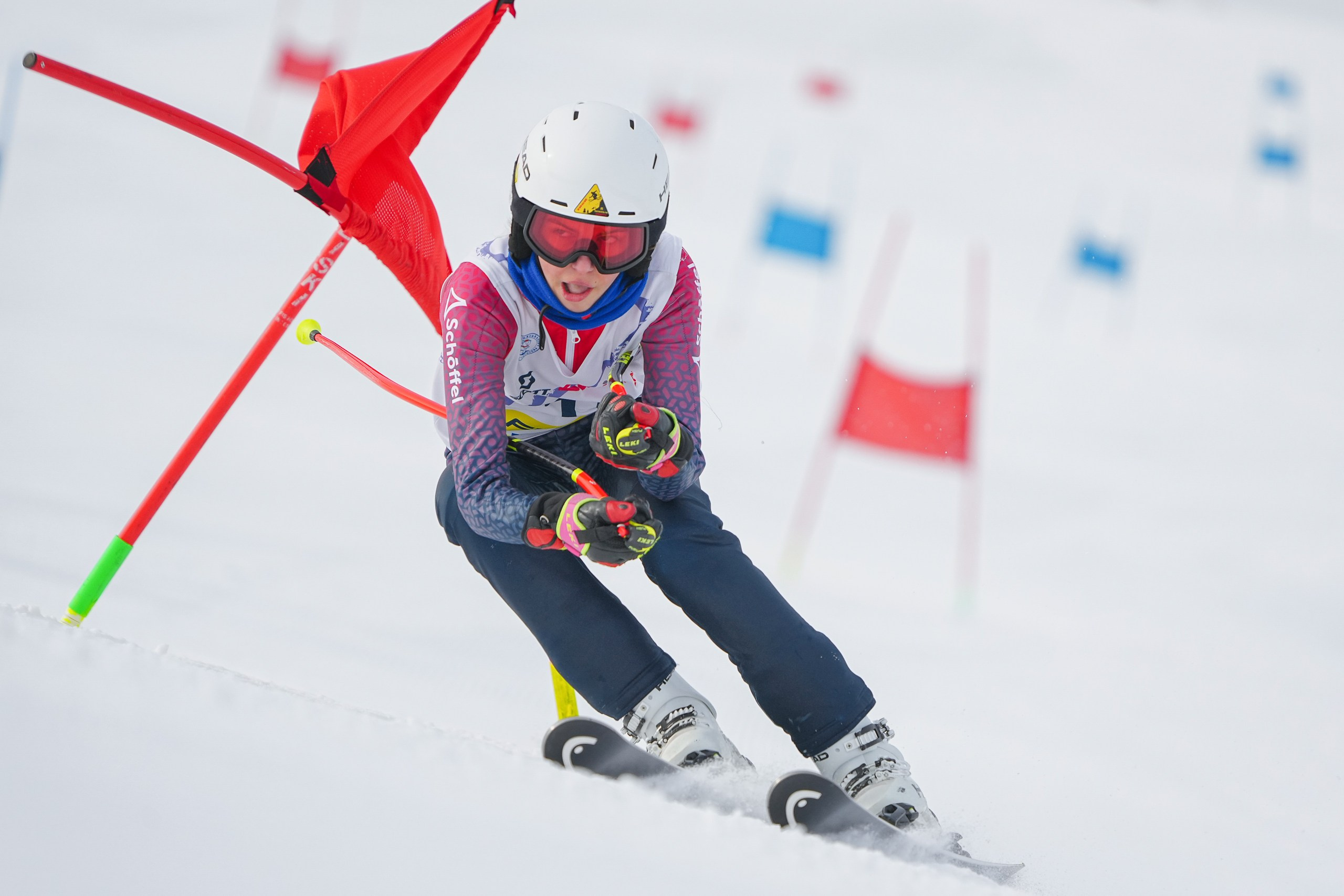 GS (Giant Slalom) - Слалом-гигант. Соревнования по горнолыжному спорту. Московская область, Шуколово