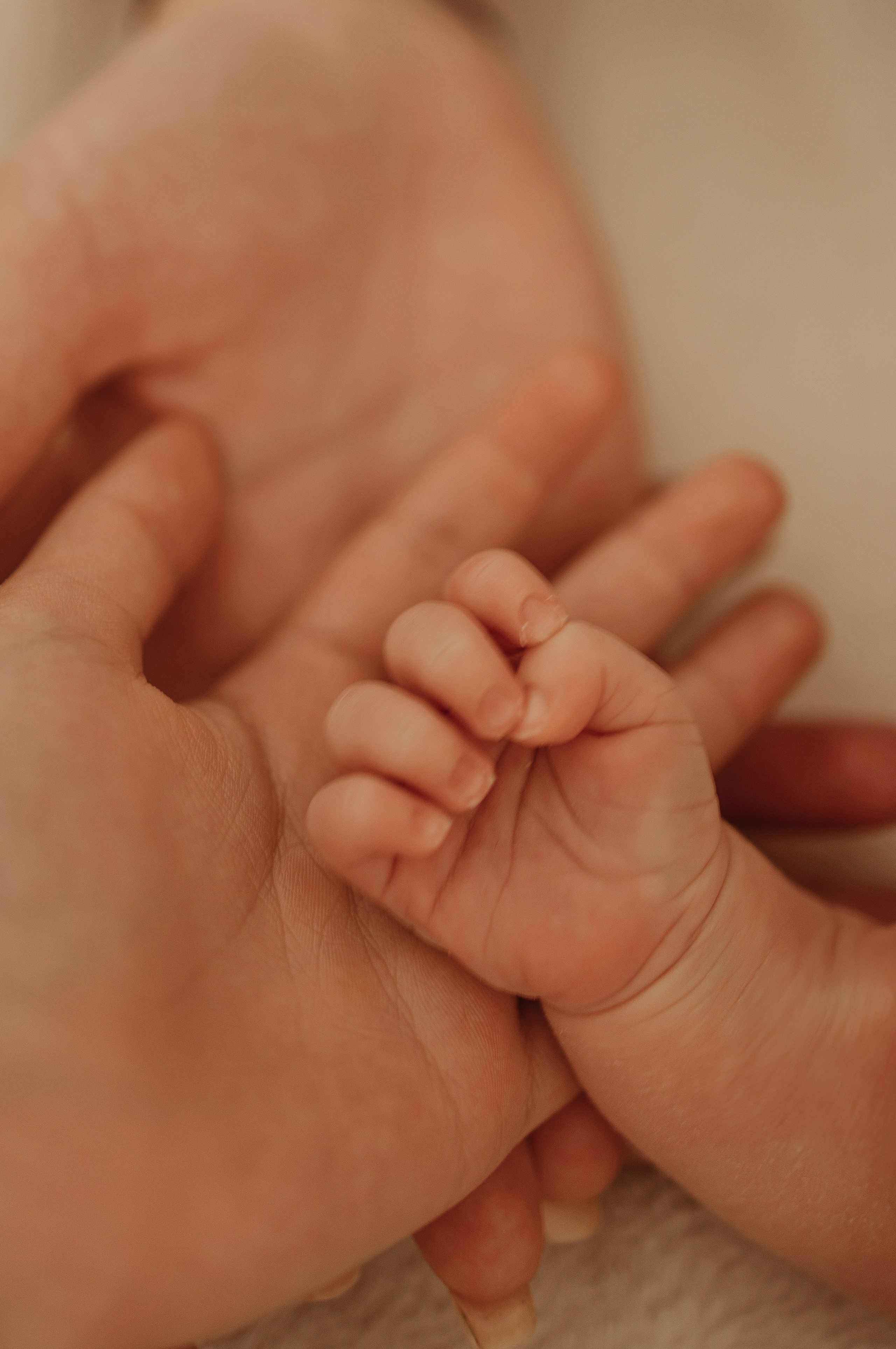 Сашенька. Свадебный и семейный фотограф в Москве Дарья Тюленева