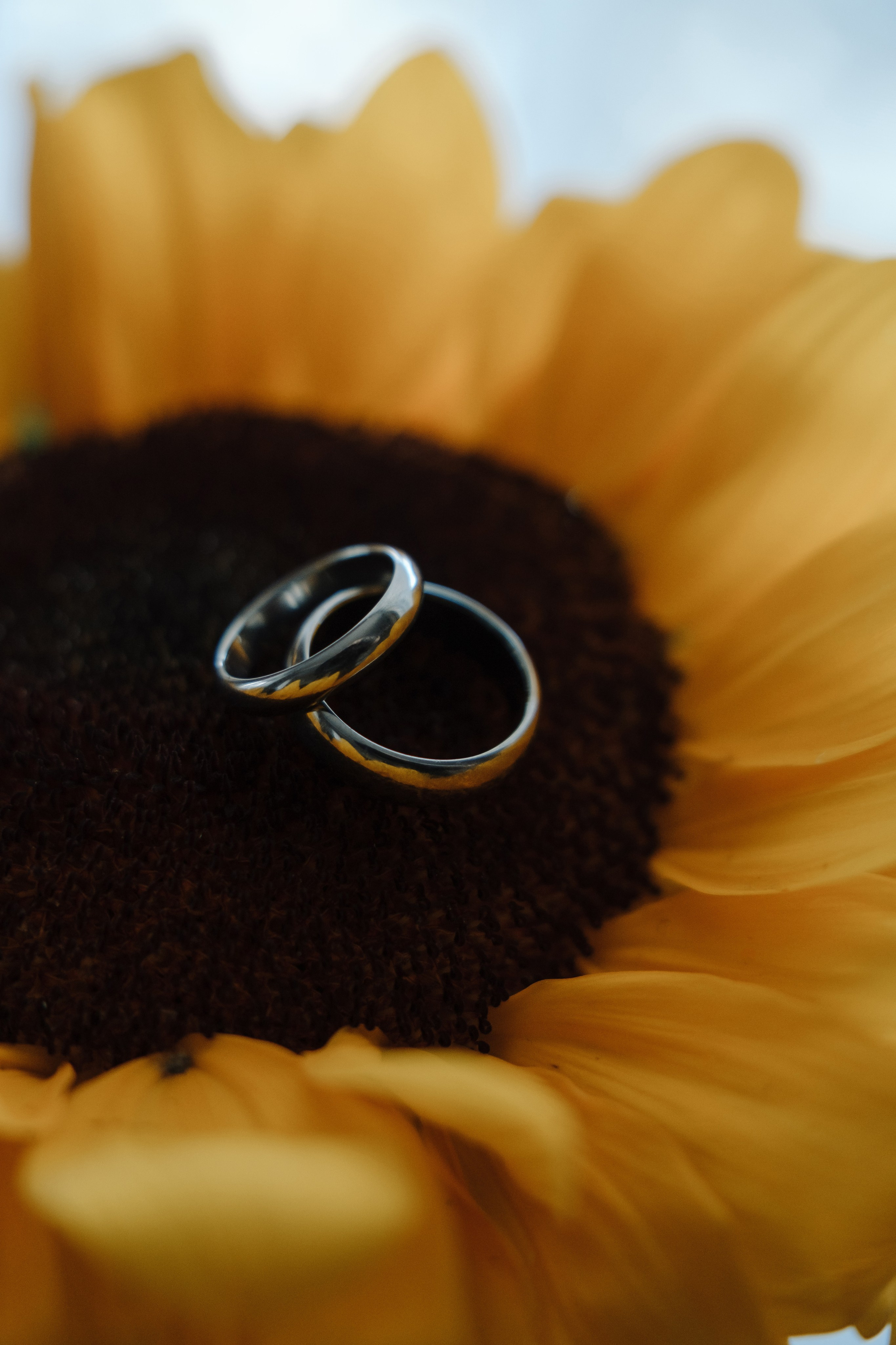 Глеб и Алёна. Свадебный фотограф в Москве и Подмосковье Виктор Одинцов