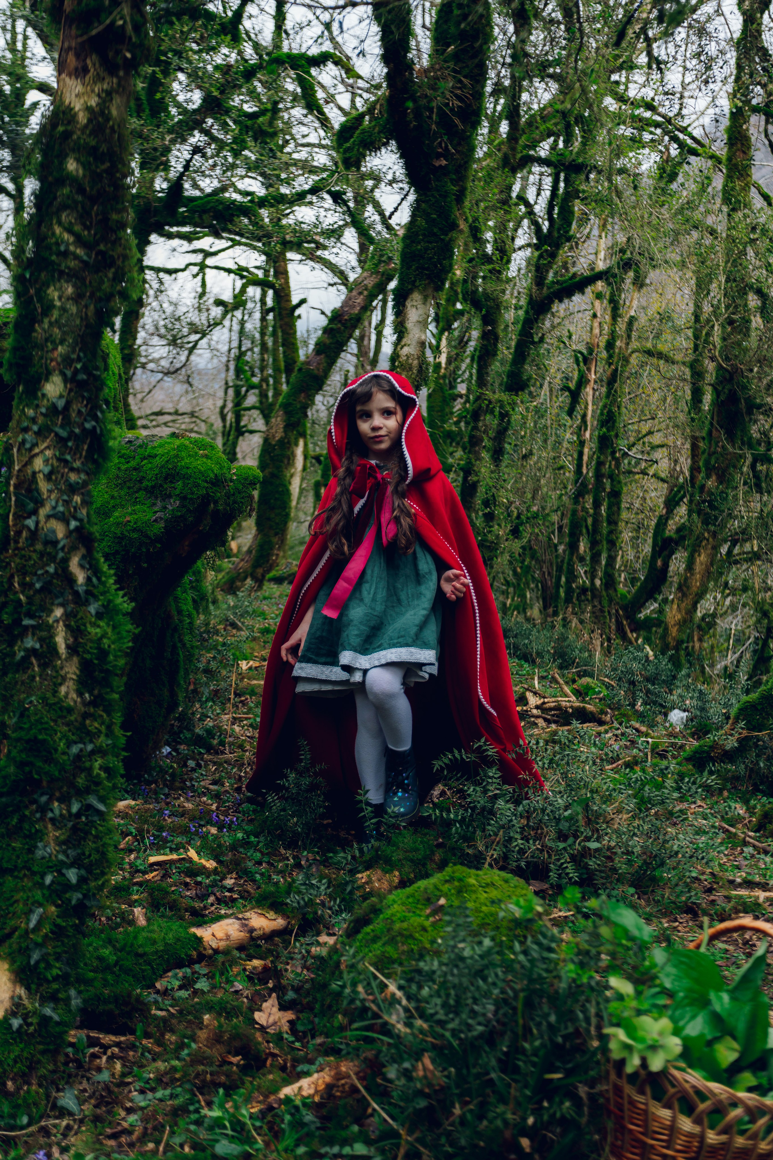 Самшитовая роща. Семейный и художественный фотограф в Тюмени Юлия Логинова