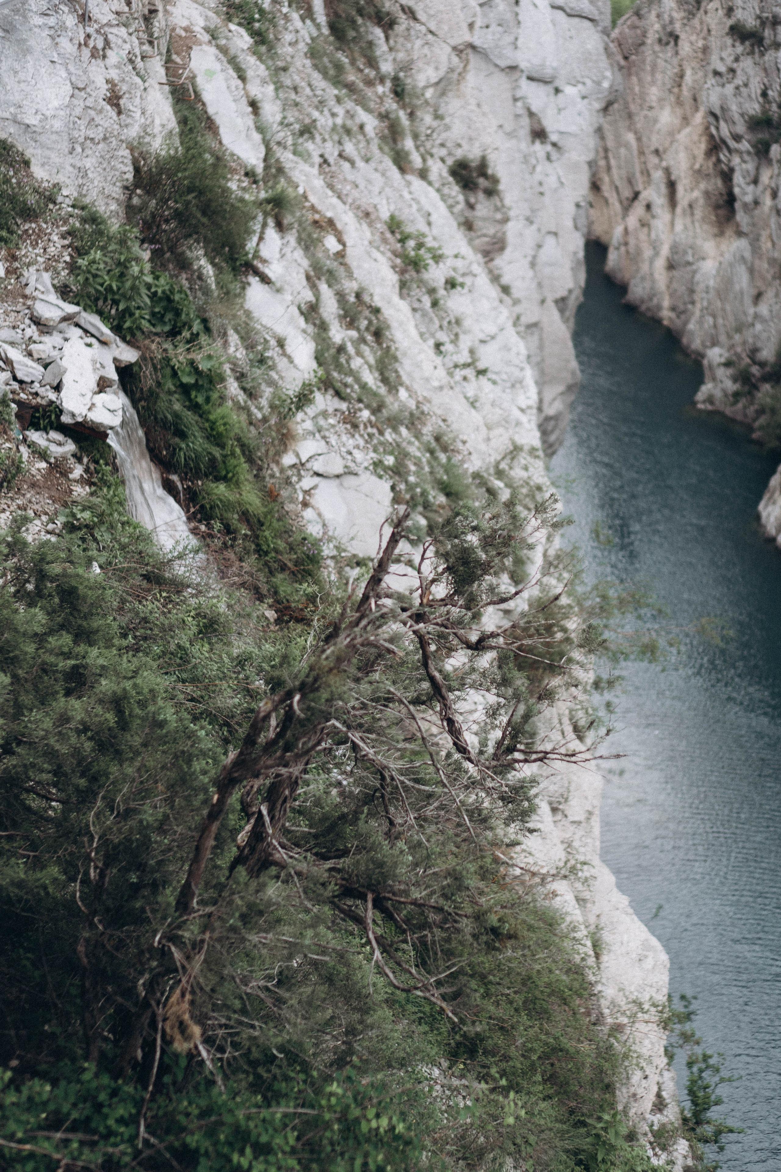 Кавказ. Профессиональный фотограф, Санкт-Петербург — Виктория Богомолова