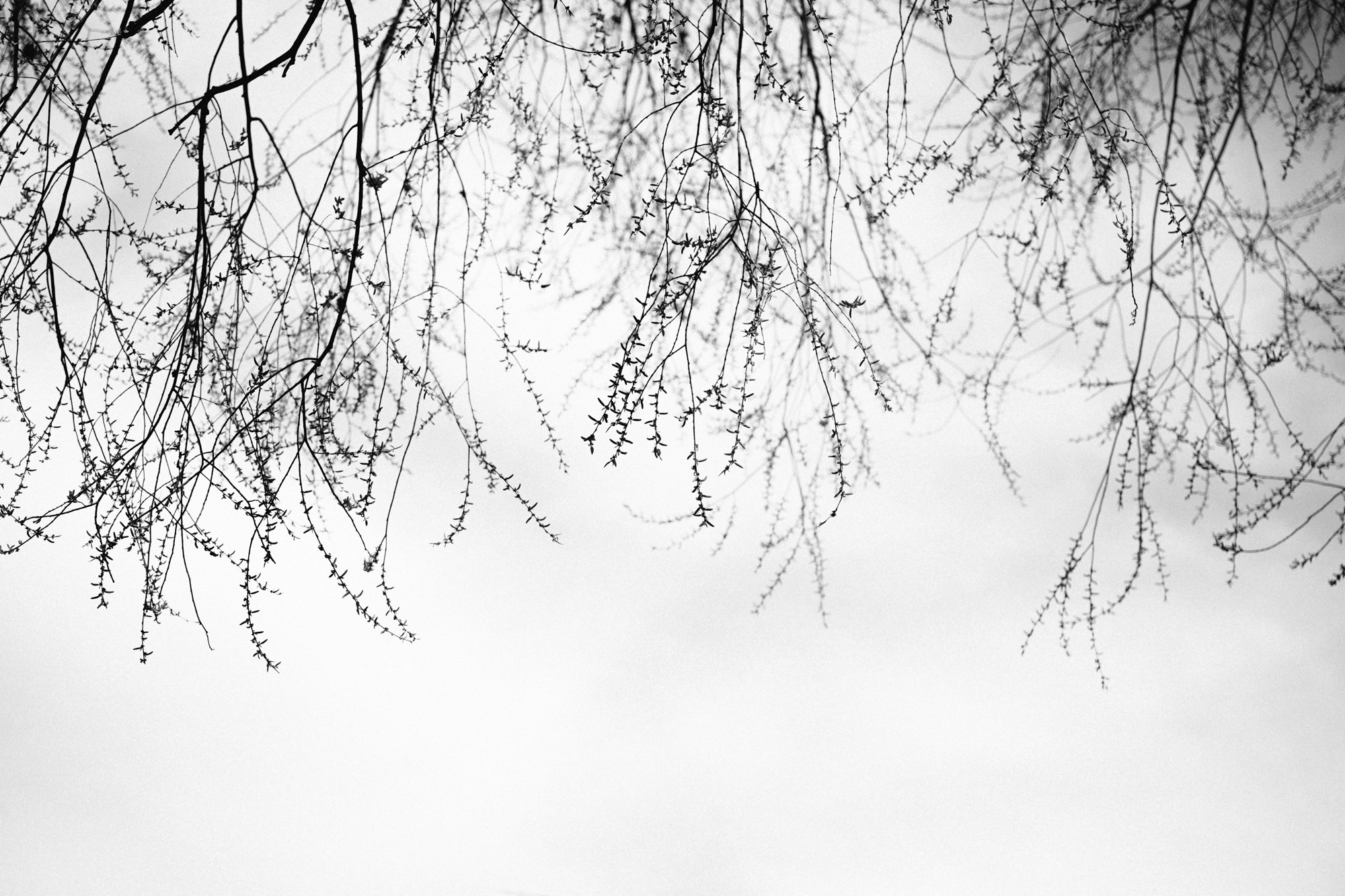 Прикосновения…. Свадебный и семейный фотограф в Абакане Василевский Алексей