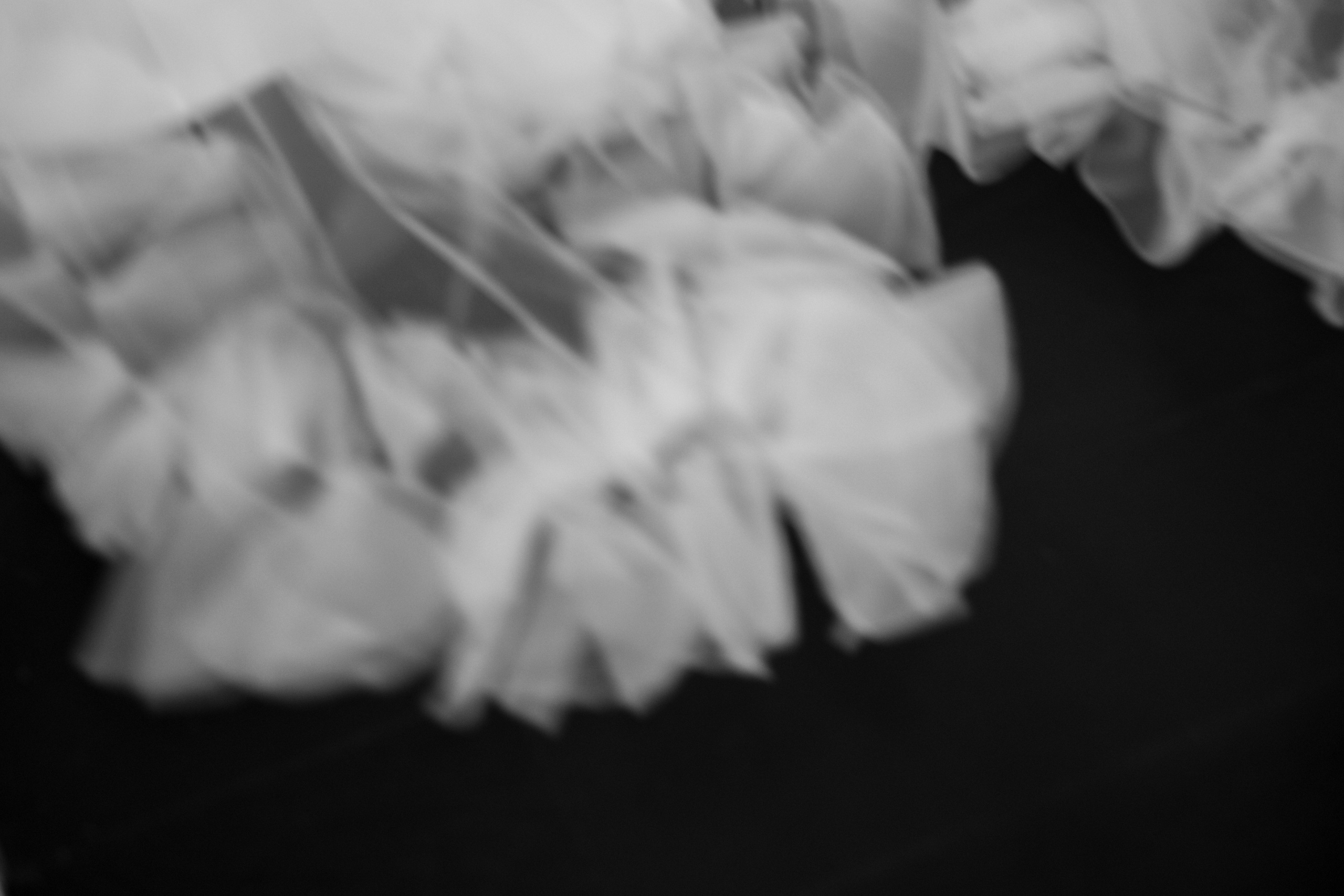 Nikita & Anastasiya. Свадебный фотограф в Краснодаре Татьяна Гура