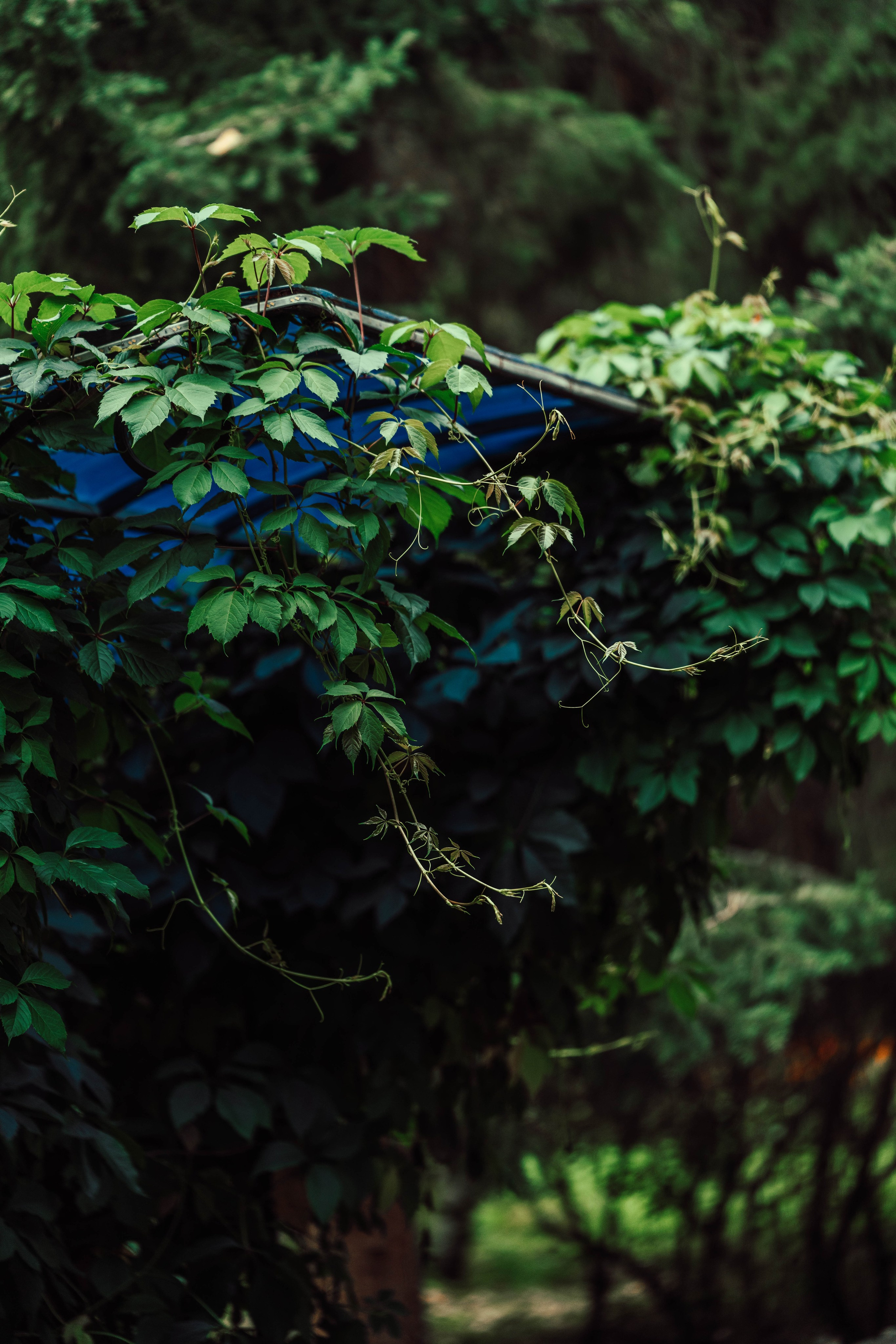 Усть-Каменогорск, Сентябрь 2024