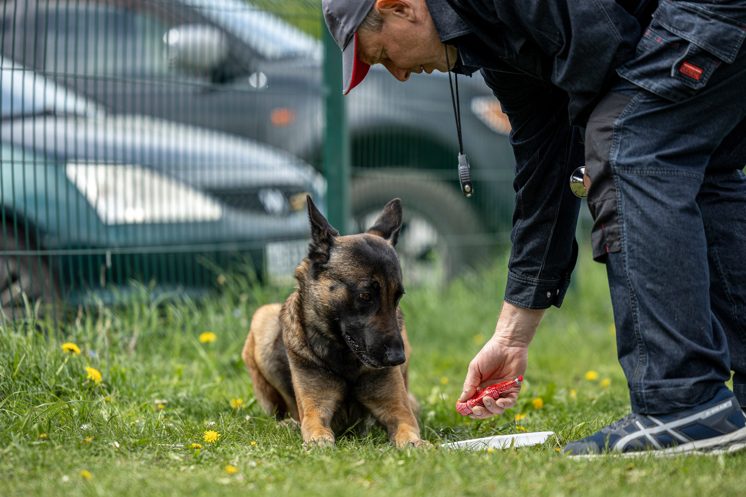 Испытания по мондьорингу в Нижнем Новгороде. Фотограф-анималист Анна Маринич