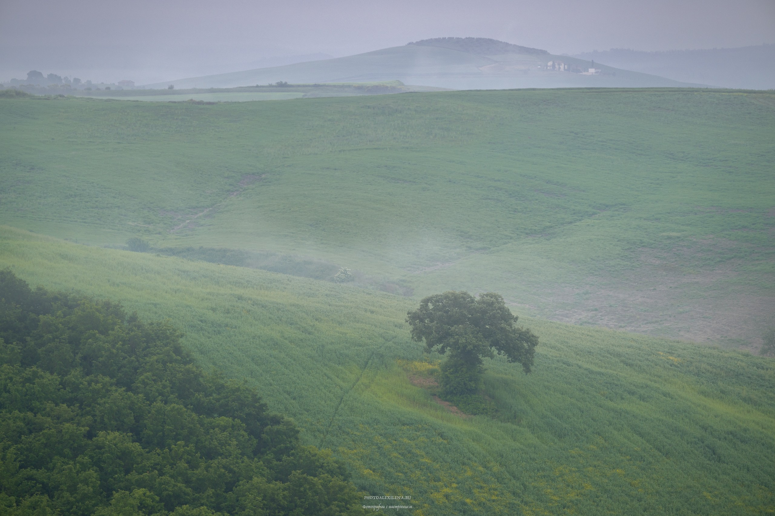 Великолепная Тоскана. Авторские стильные фотокартины