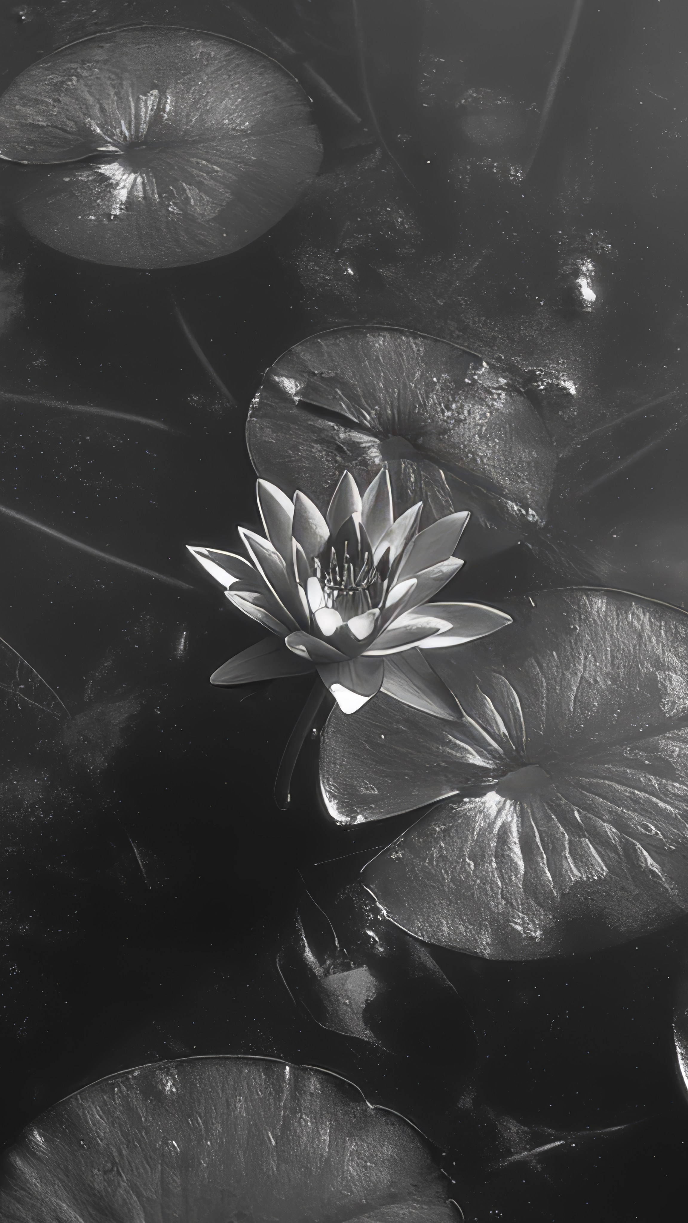 AI Контент. Фотопродакшн продающего контента