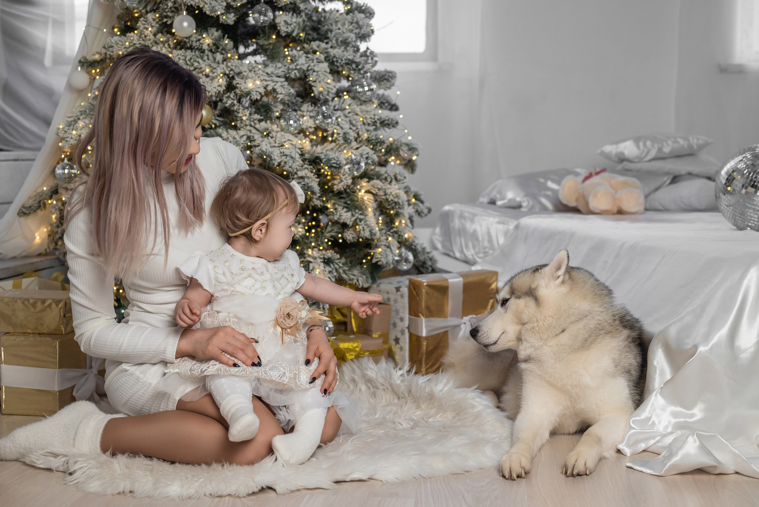 Фотопроект с хаски. Фотограф в городе Салават