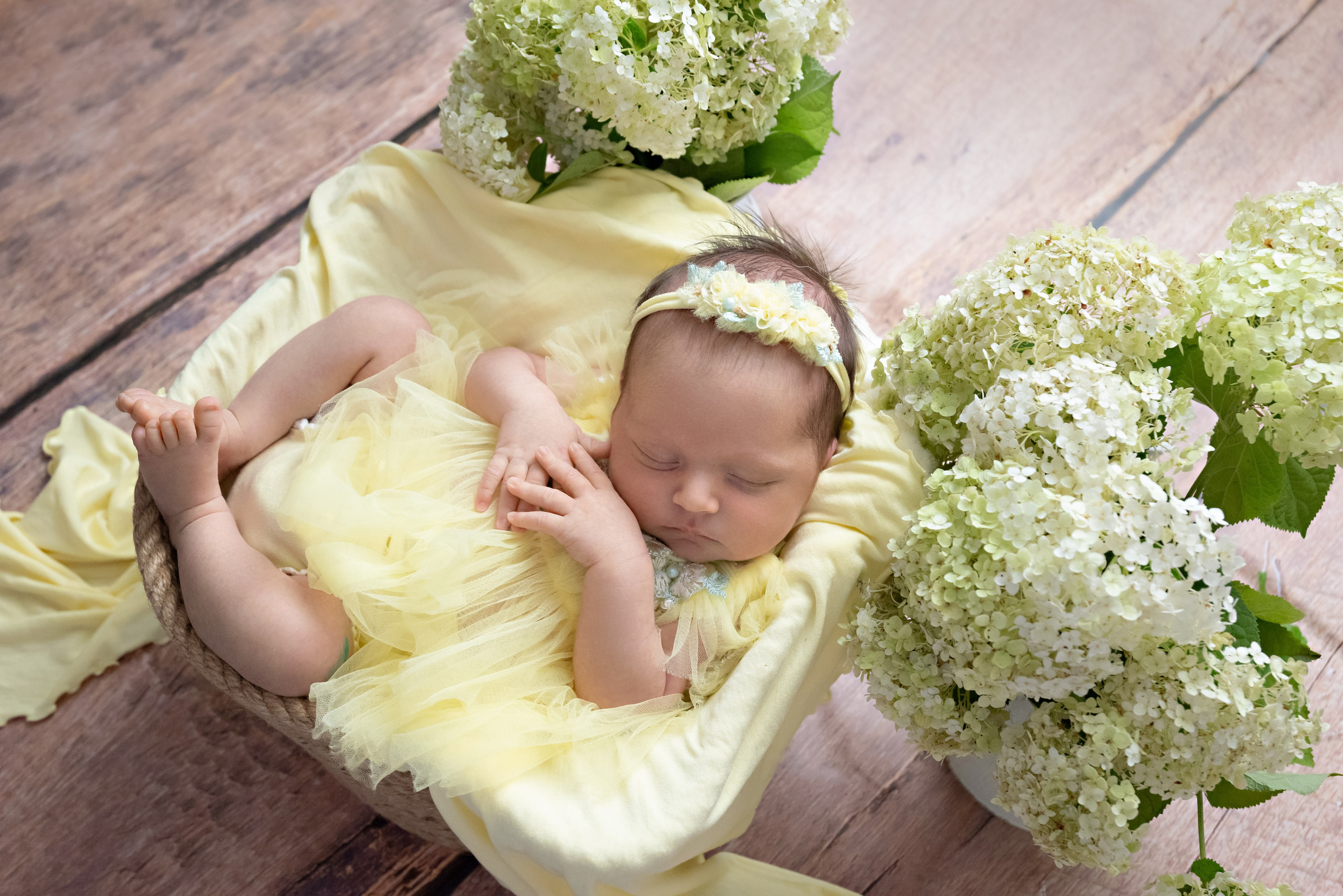 Девочки. Newborn42.ru Фотограф новорожденных  г. Кемерово Агафонова Жанна