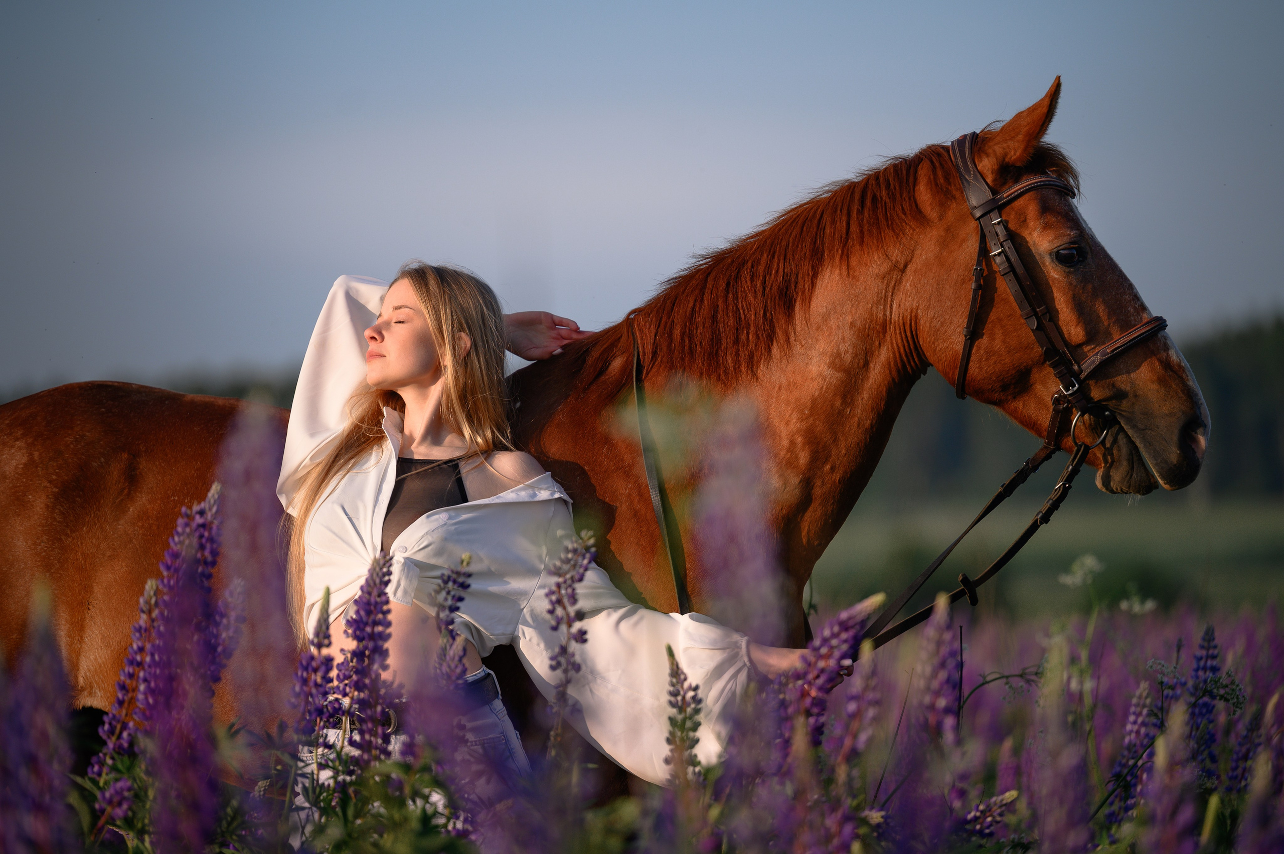 Рассвет в Подмосковье. Фотограф в Ростове —на — Дону