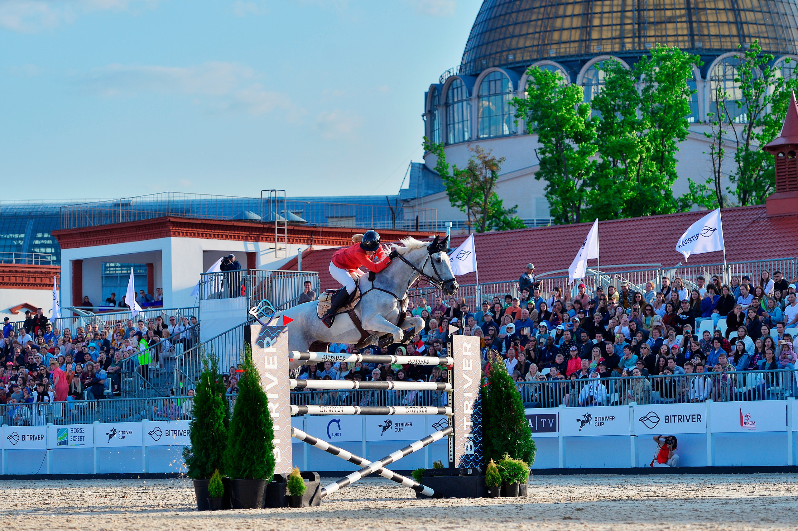 Репортаж Bitriver. Конный фотограф Alesya Safe