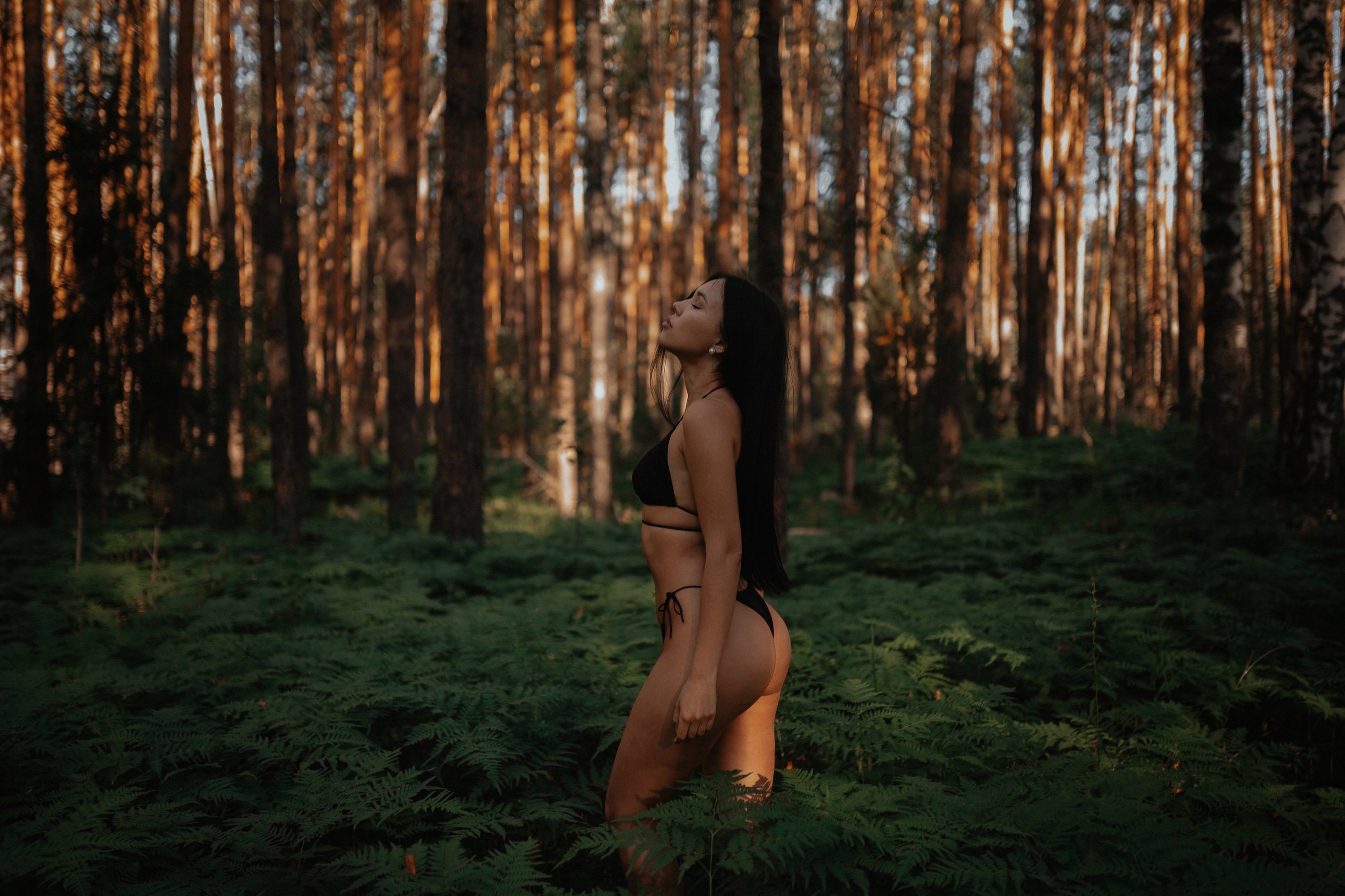 Папортник. Фотограф Алексей Кутырёв