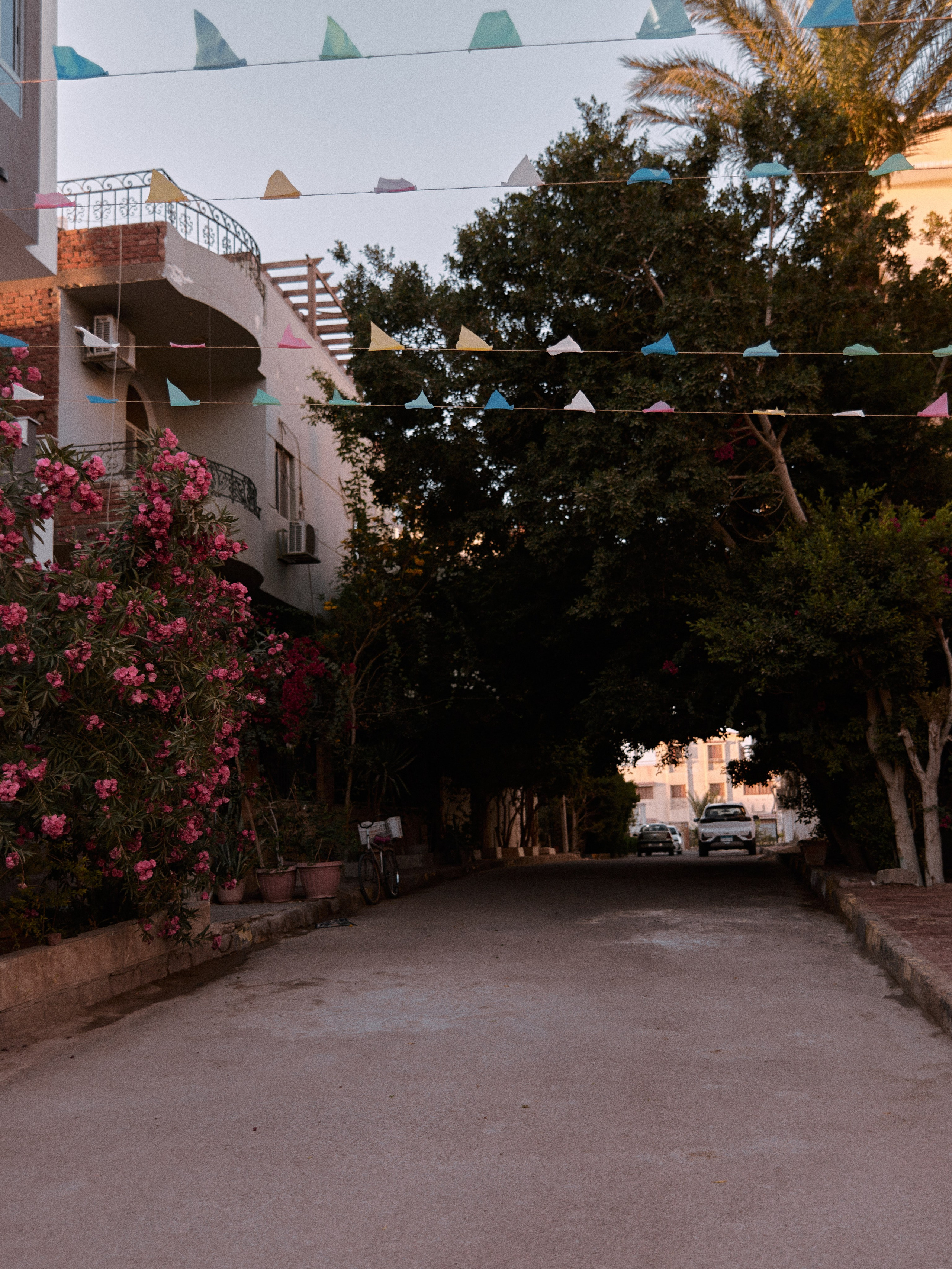 Улицы. Jorgis Talè — photographer, kind person, teacher of arts and other mag