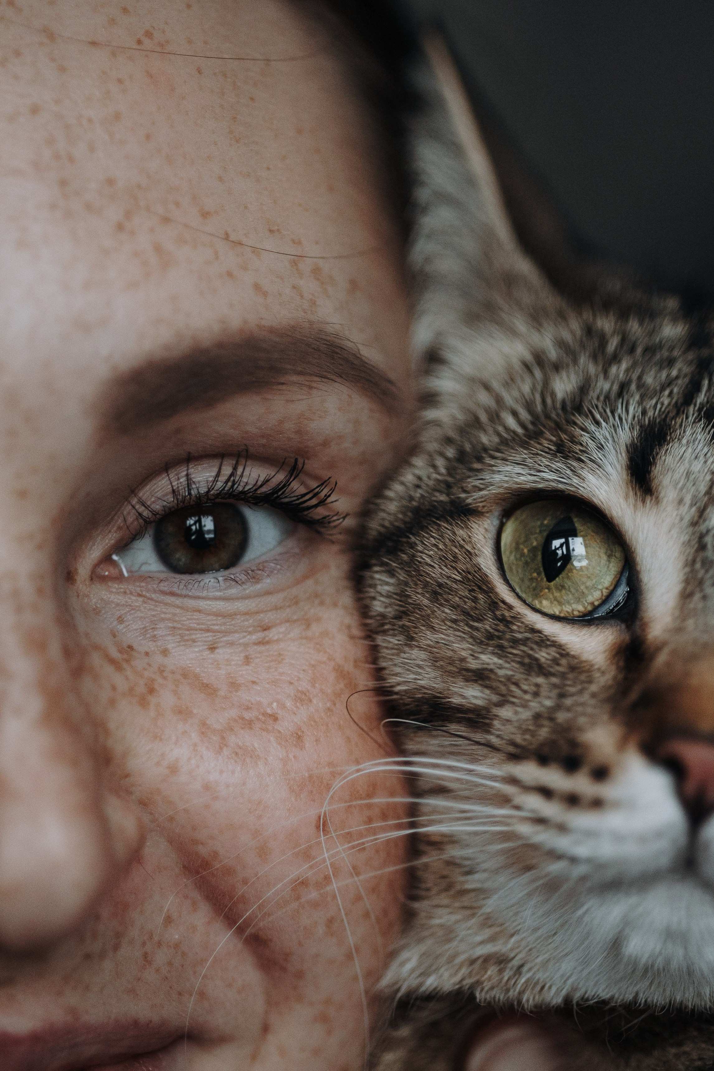 Мася и ее семья. Фотограф — Анималист | Санкт-Петербург