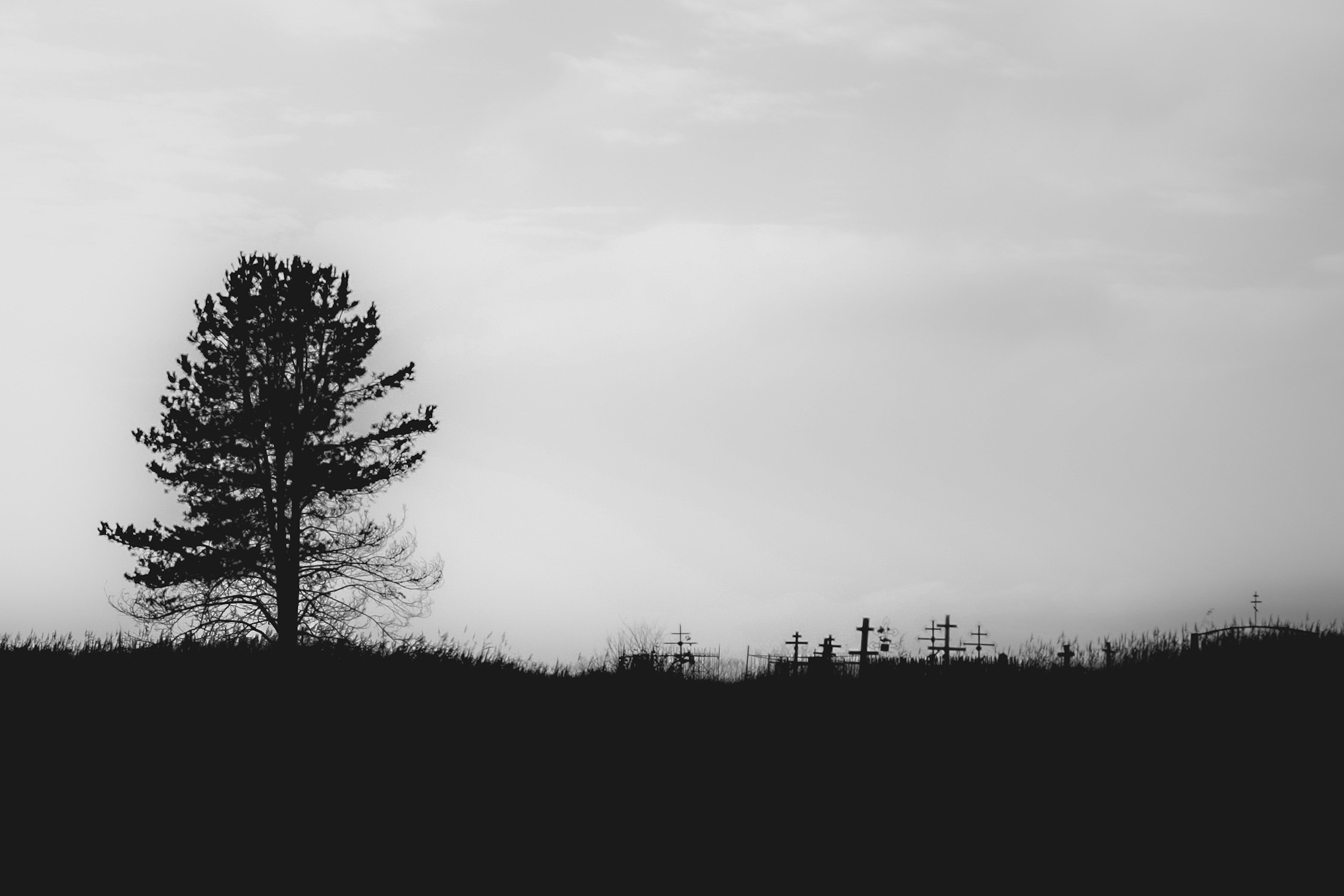 S8C портретный, уличный и арт фотограф, в Саратовской области и г. Балаково