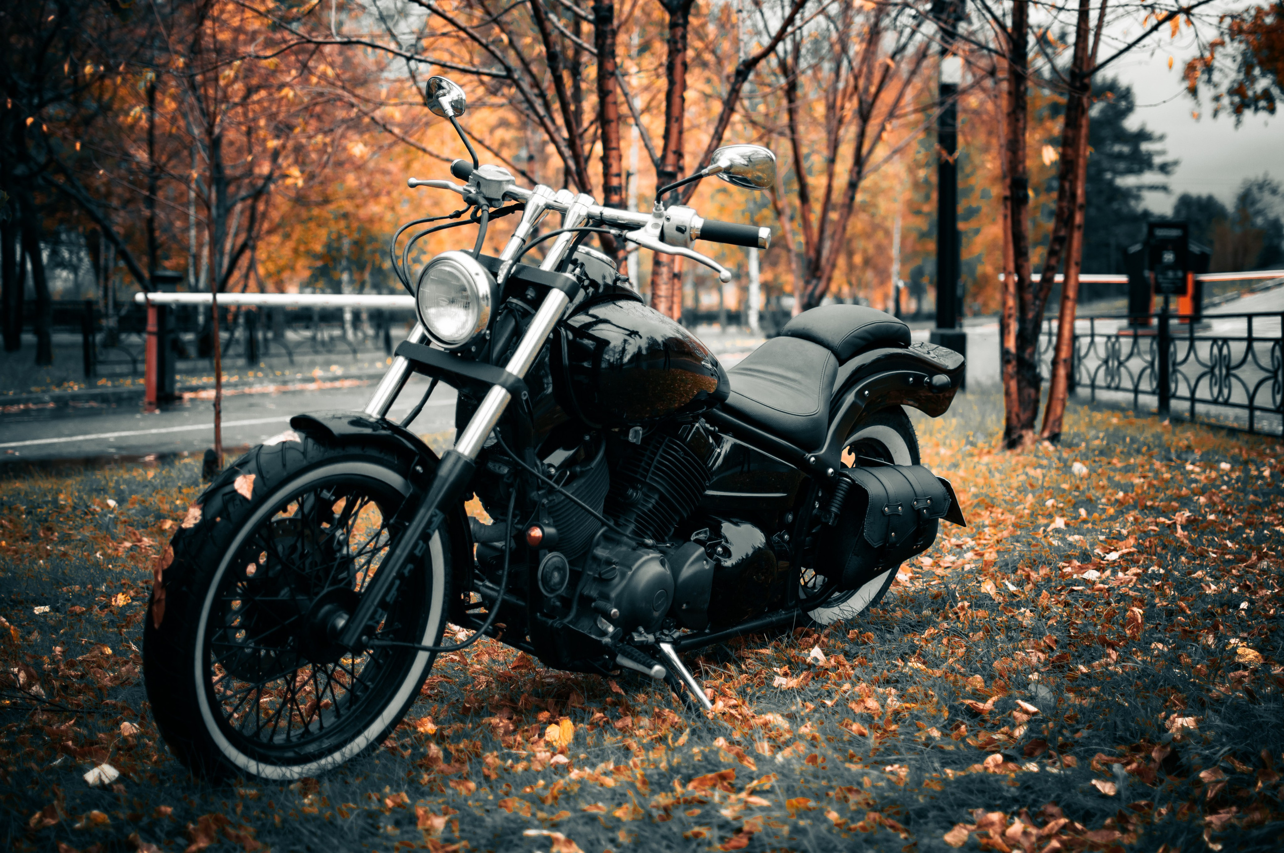 Портфолио. G G L V D M T R | Фотограф в Красноярске