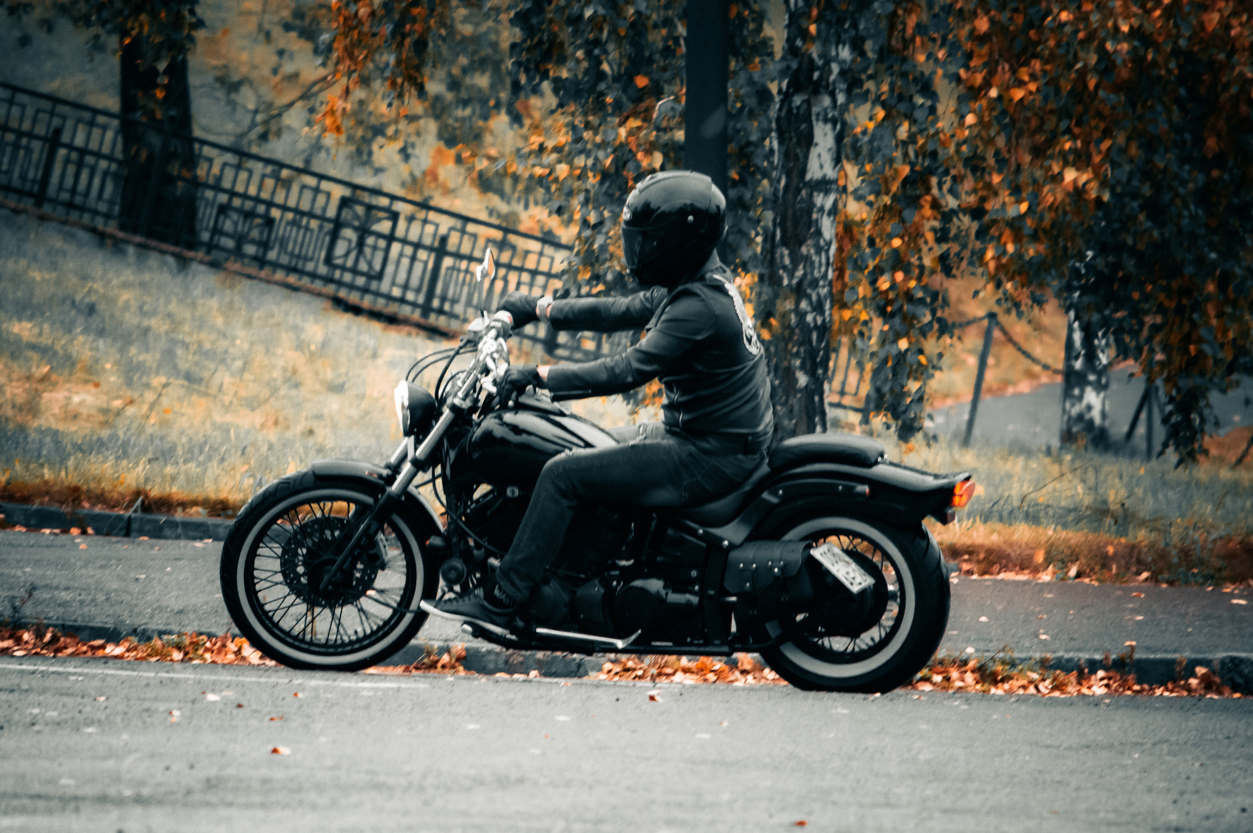 Последние дни осени. G G L V D M T R | Фотограф в Красноярске