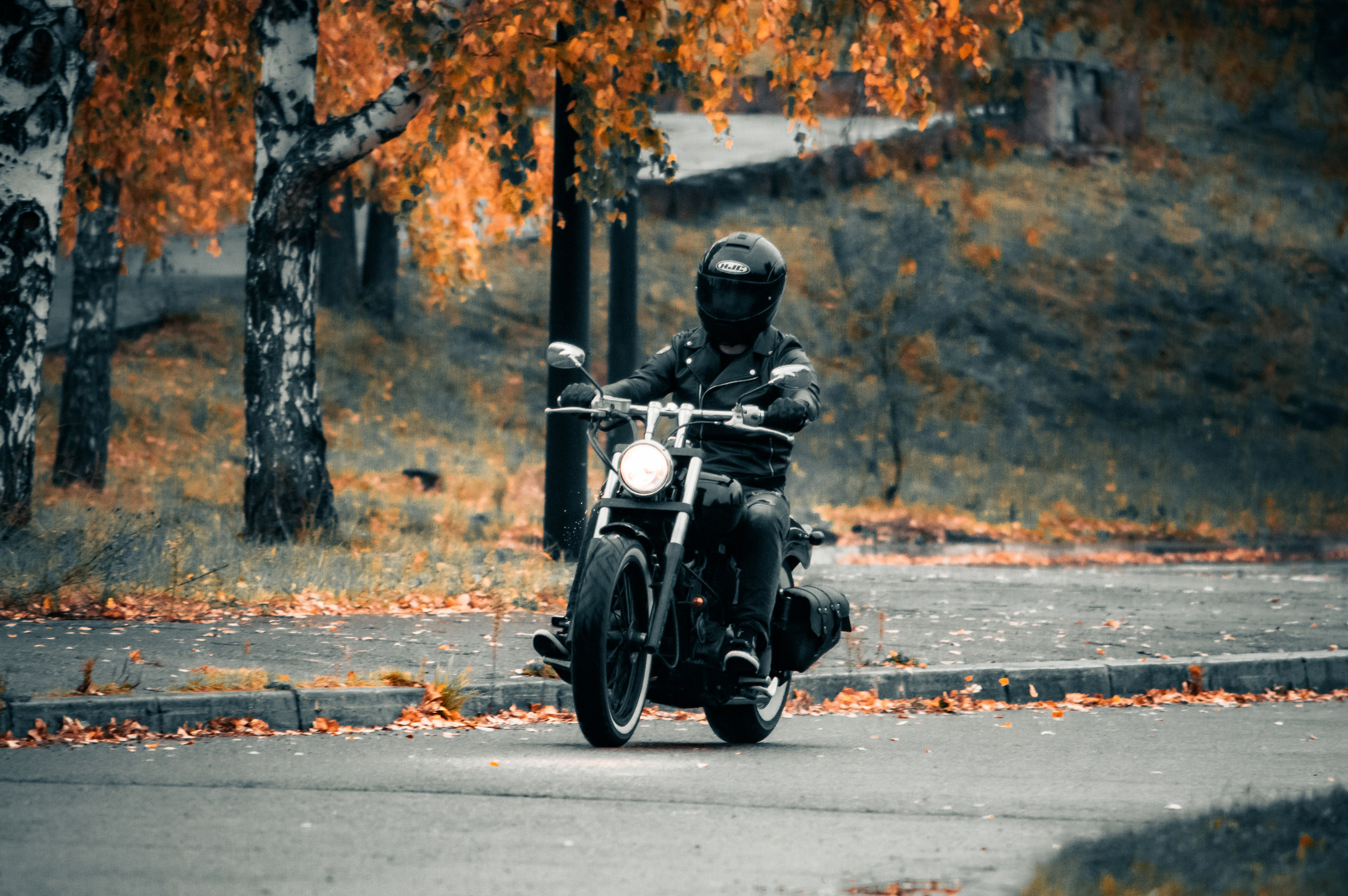 Последние дни осени. G G L V D M T R | Фотограф в Красноярске