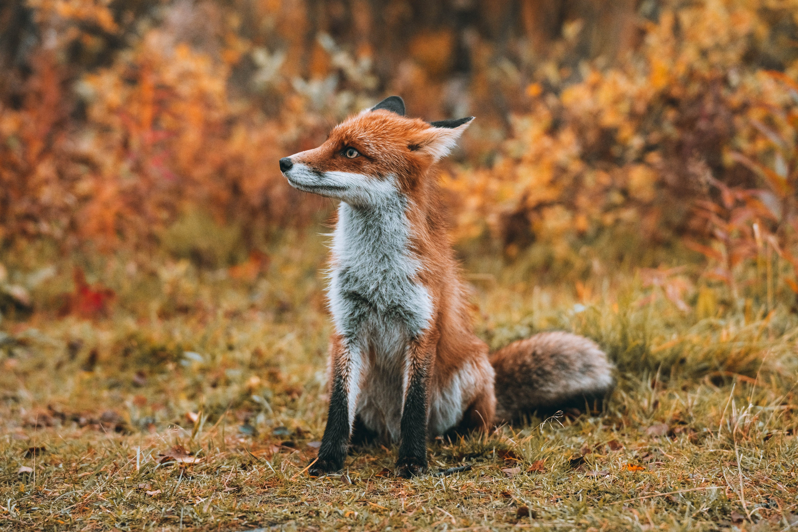 СЕВЕР. Event фотограф Степанова Александра
