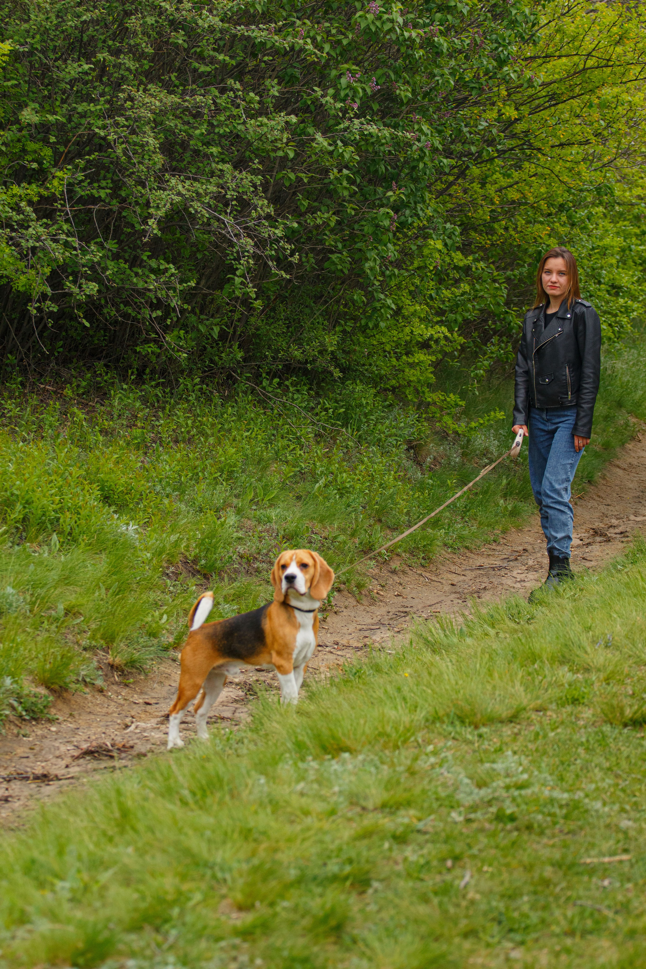 Бигль Старк и его хозяева Яна и Евгений. Фотограф Екатерина Козловская