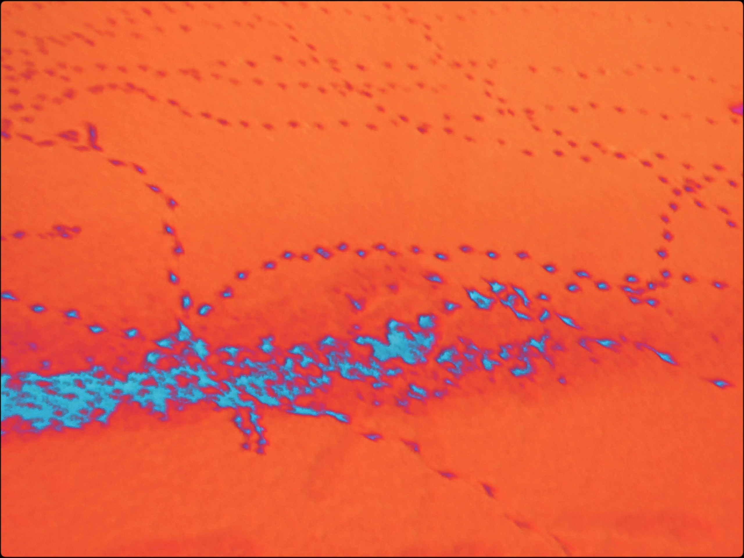 Malamoonki. Катерина Малама арт-фотограф