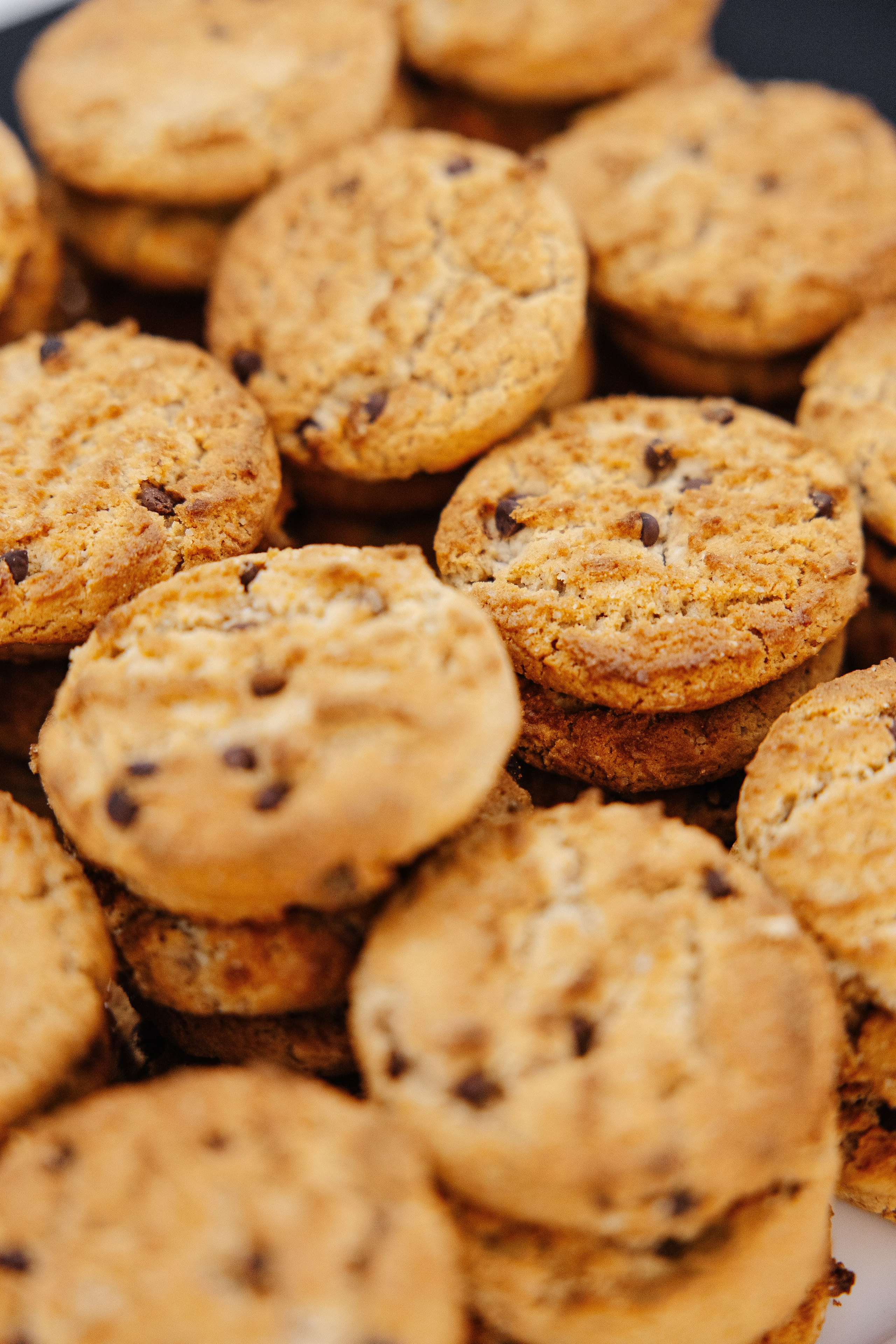 АЛЬФА КОНФА. Фотограф в Красноярске