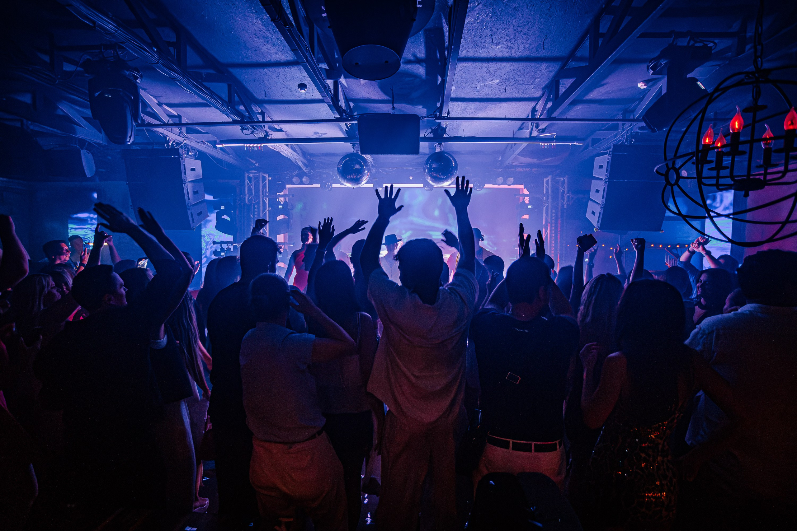 «Шура"_Чайка на пляже_Ялта_18.07.2025 г. Аминов Руслан | Фотограф