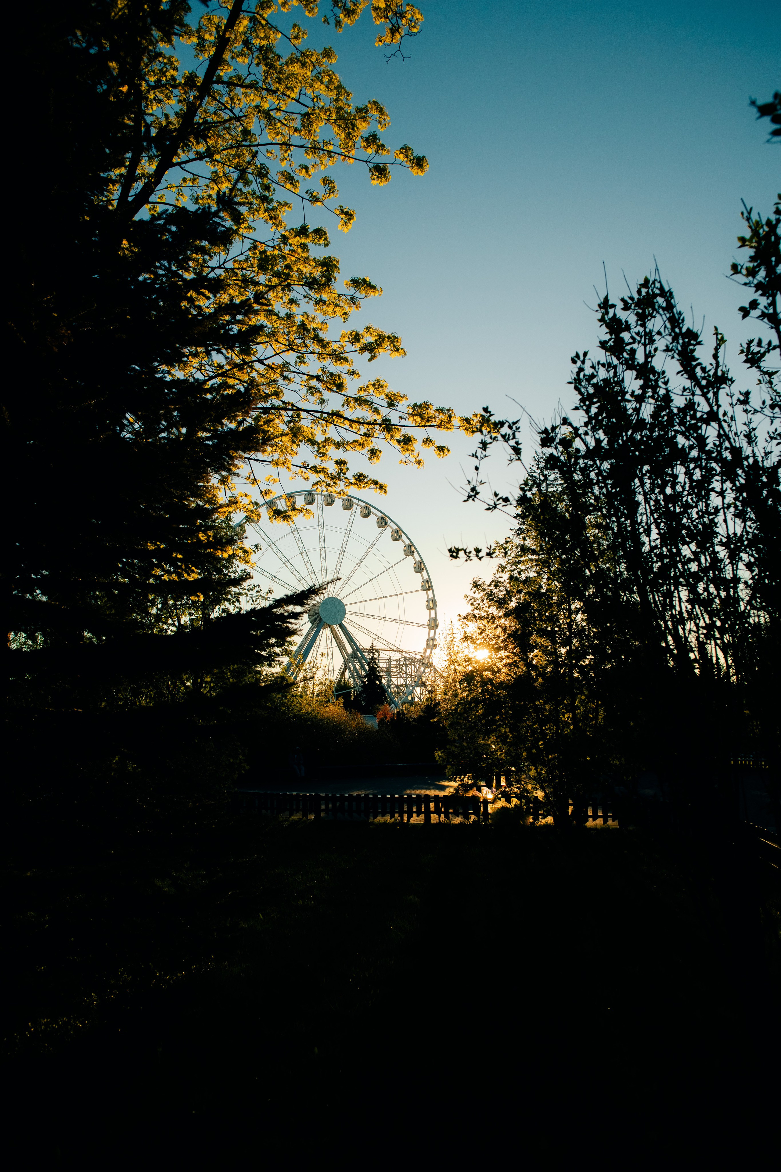 LIFE BLOG. PASHAHARCE PHOTOGRAPHER & VIDEOGRAPHER